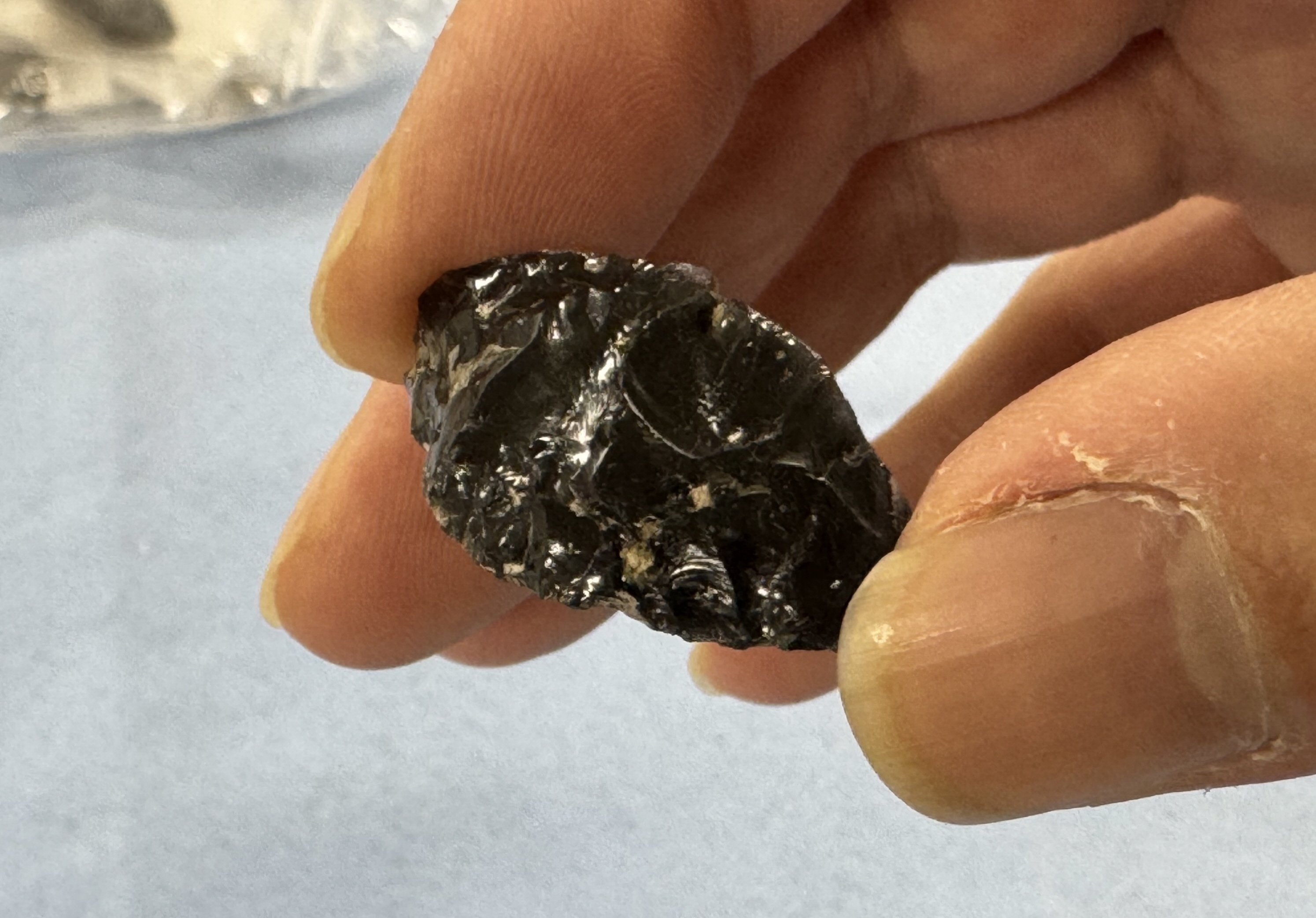 友好都市の長野県佐久市と東京都神津島村、1万3000年前から交流 黒曜石