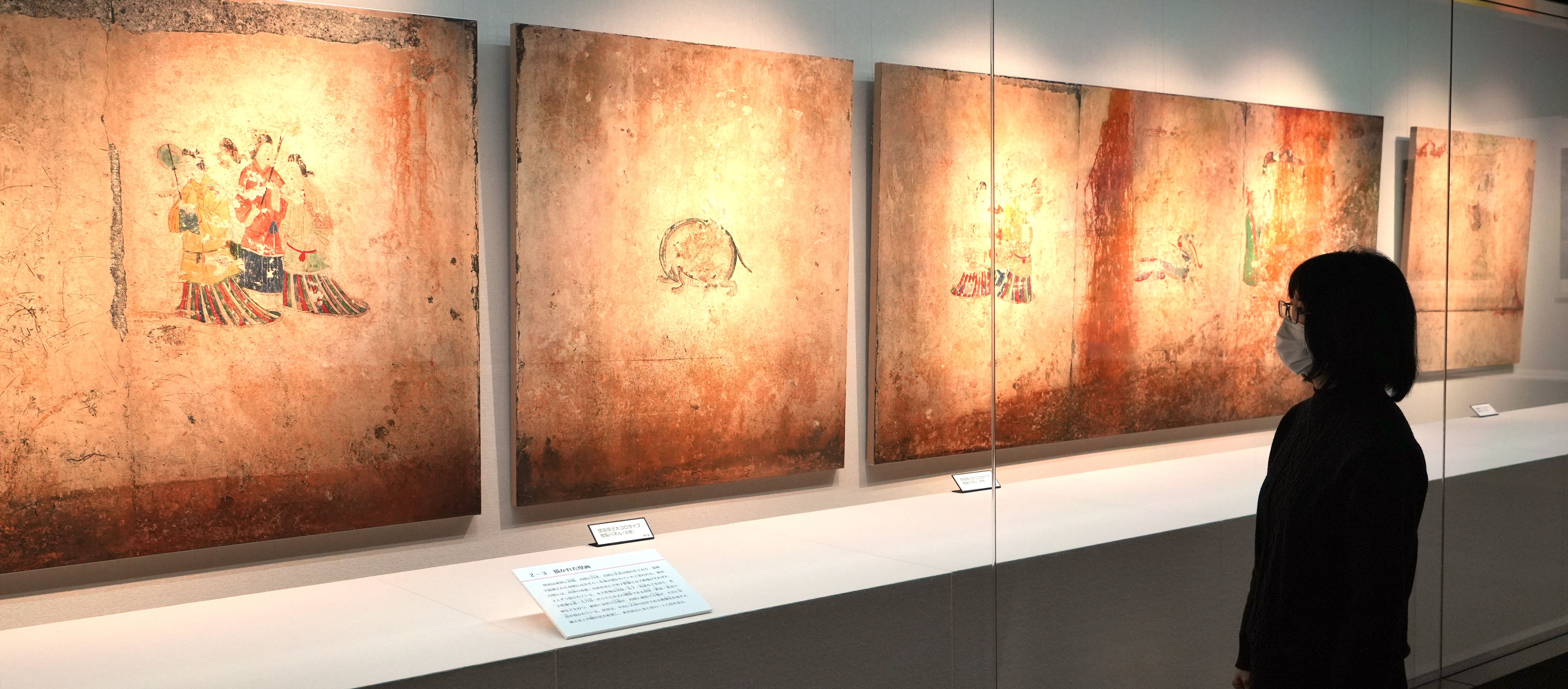 フォト＆動画】高松塚古墳壁画発見50年 橿考研博物館で記念展