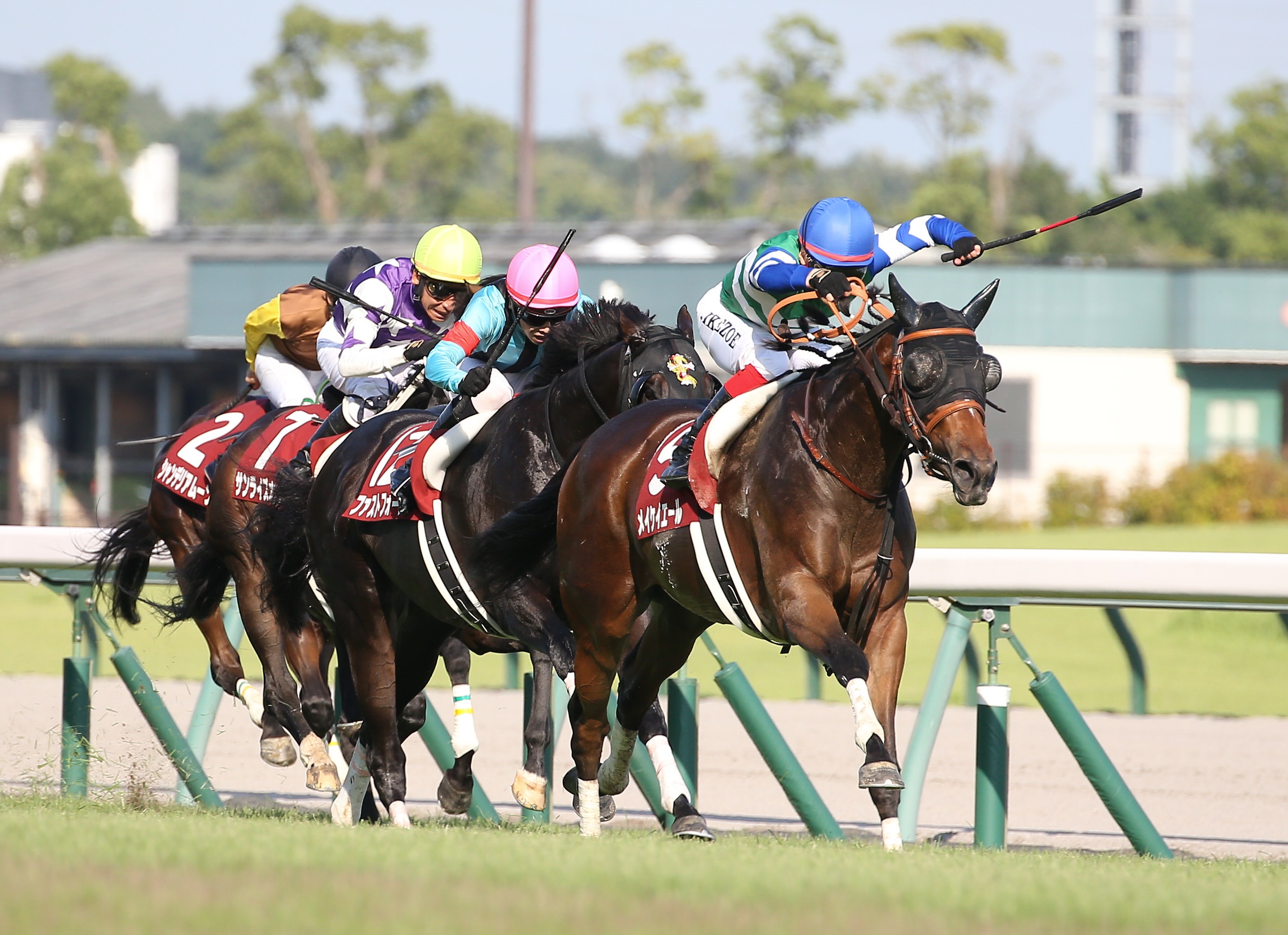 【秋競馬へ行こう】自分の直感を信じて 「馬柱」の情報を