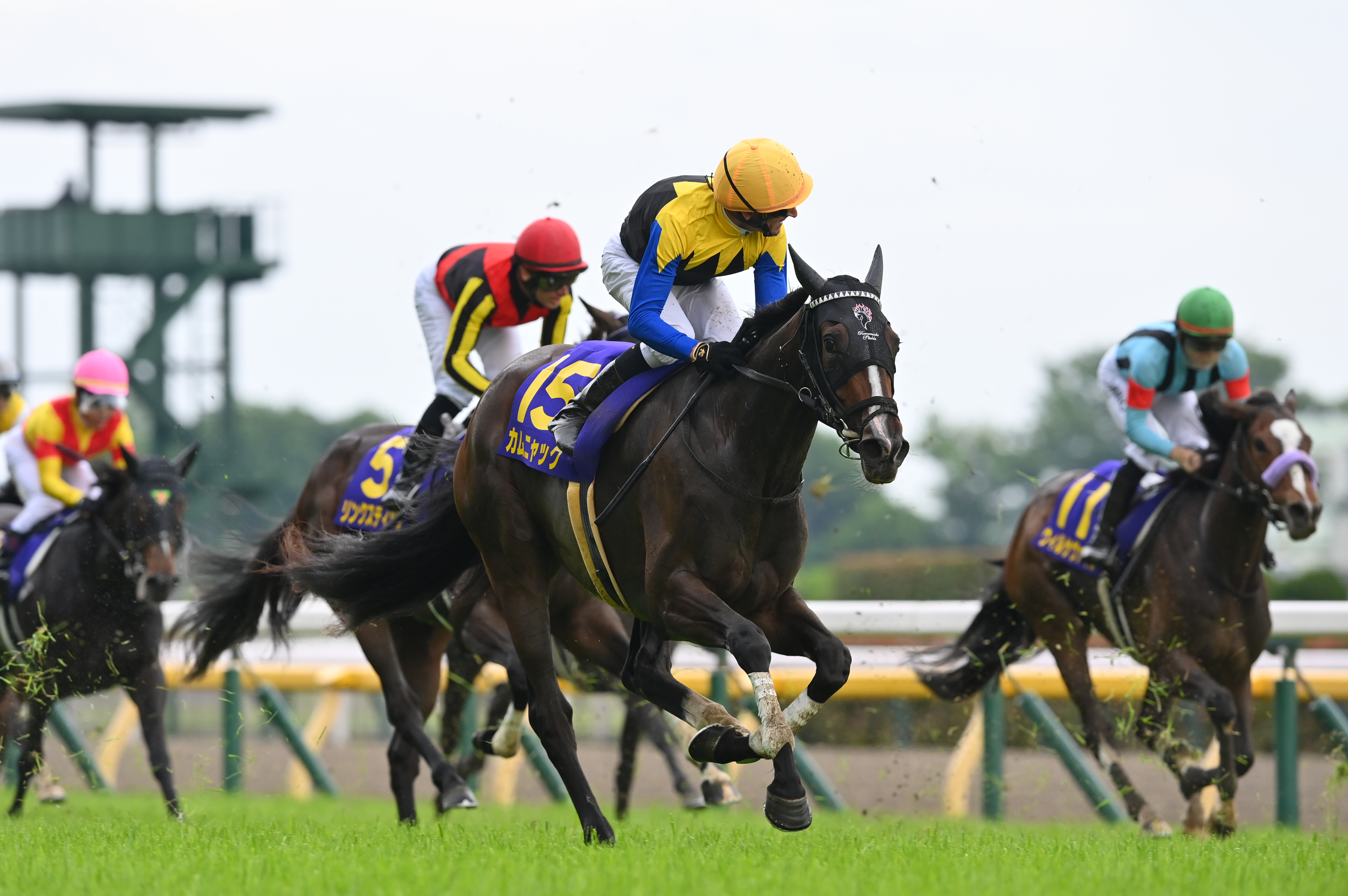秋華賞の注目点】エンブロイダリーとカムニャックが激突！ 桜花賞馬VS 