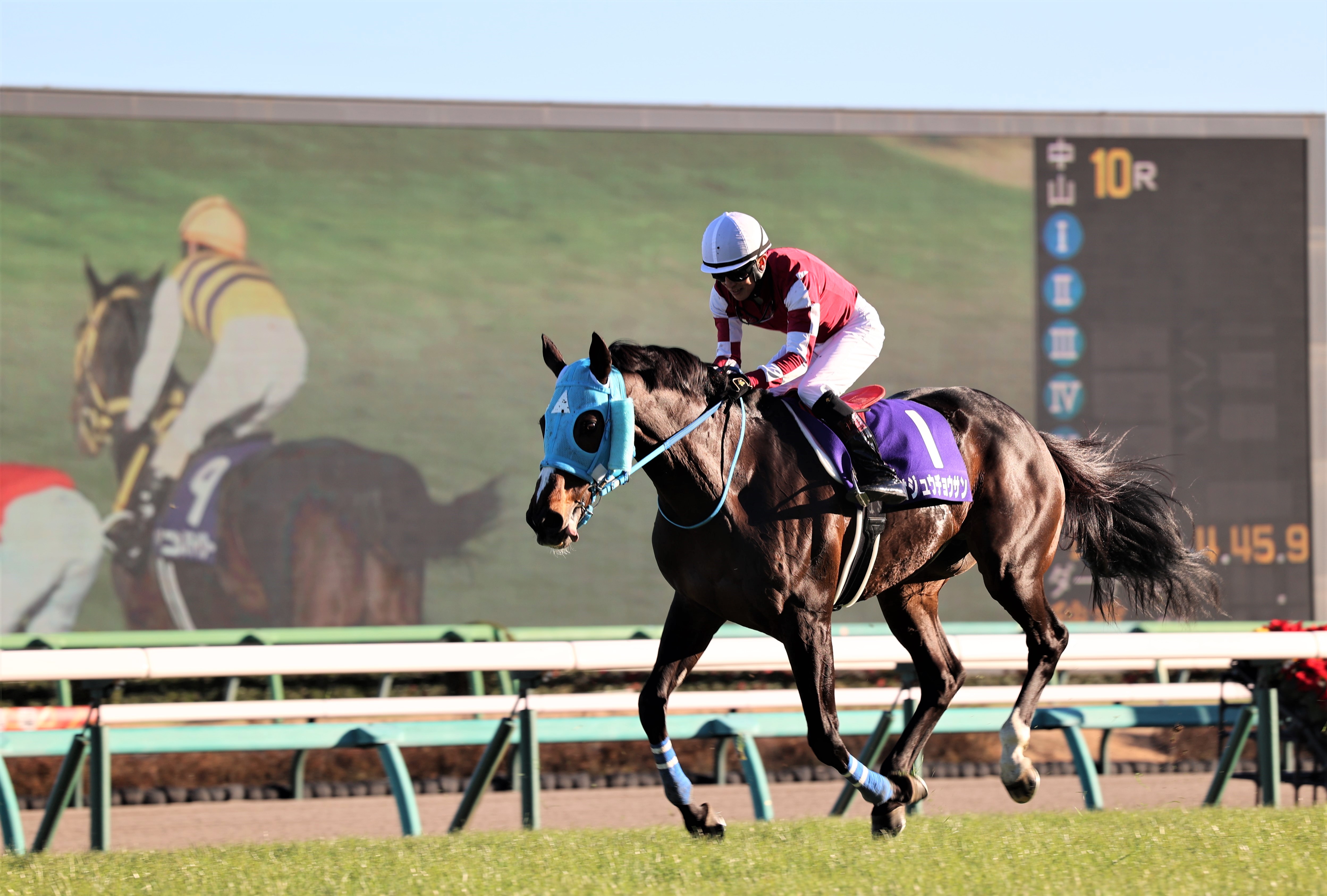 障害レースの「絶対王者」オジュウチョウサンが引退、種牡馬に 石神騎手「子供に乗りたい」 - 産経ニュース