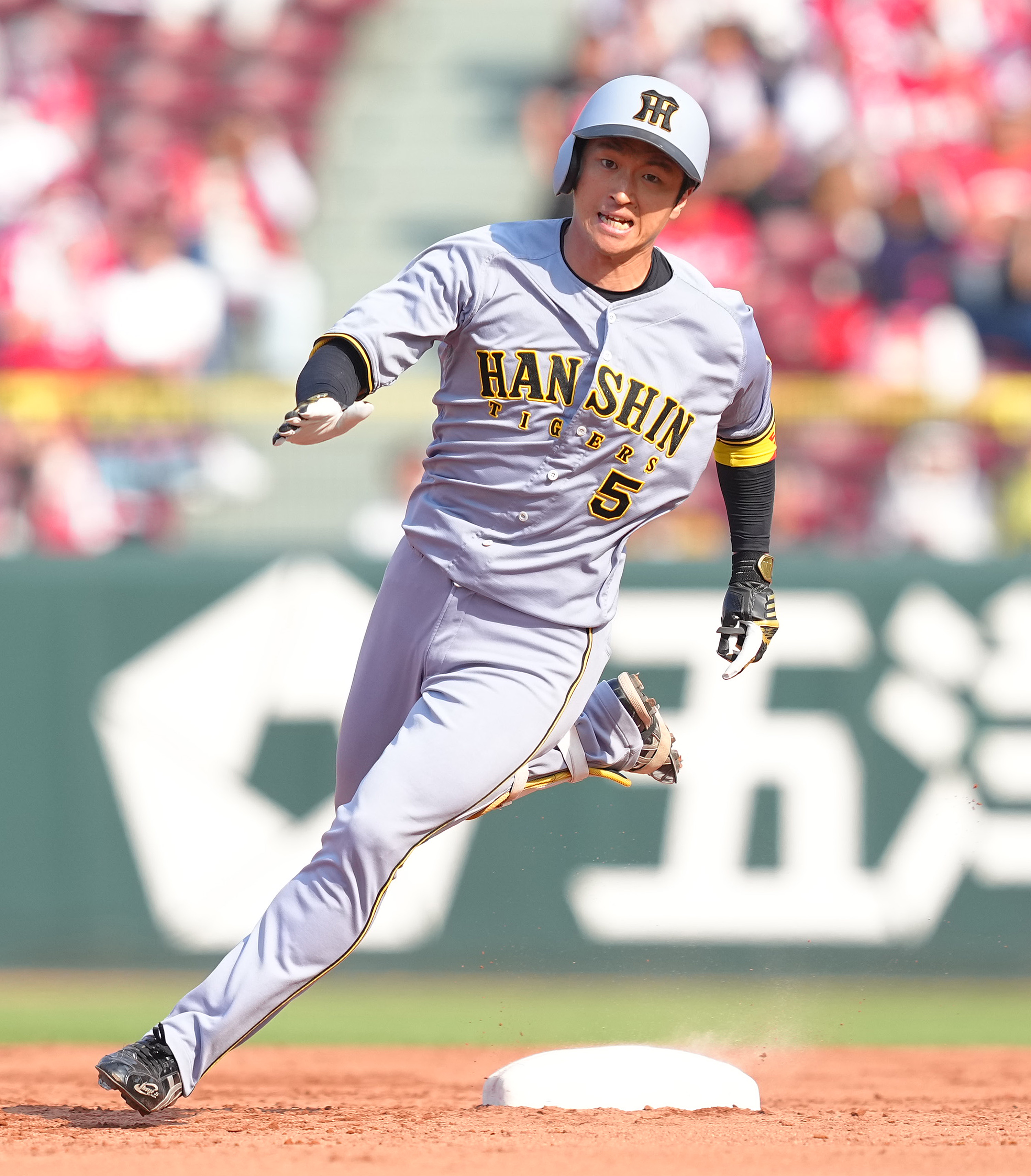 阪神タイガース　近元光司 阪神タイガース 近本 光司 選手情報 プロ野球｜スポーツ情報はd