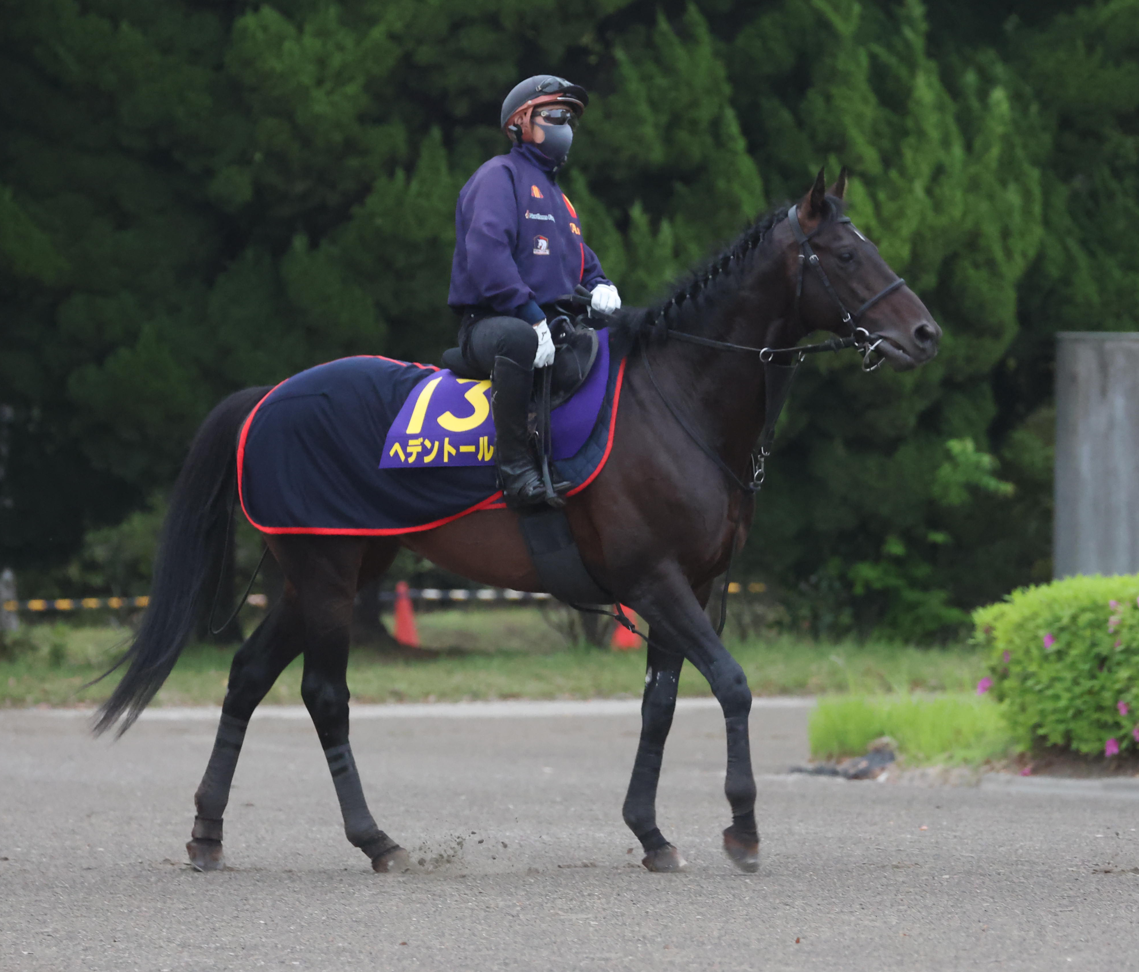 京都大賞典 1週前追い切り】ヘデントールは長め一杯に追われて6ハロン