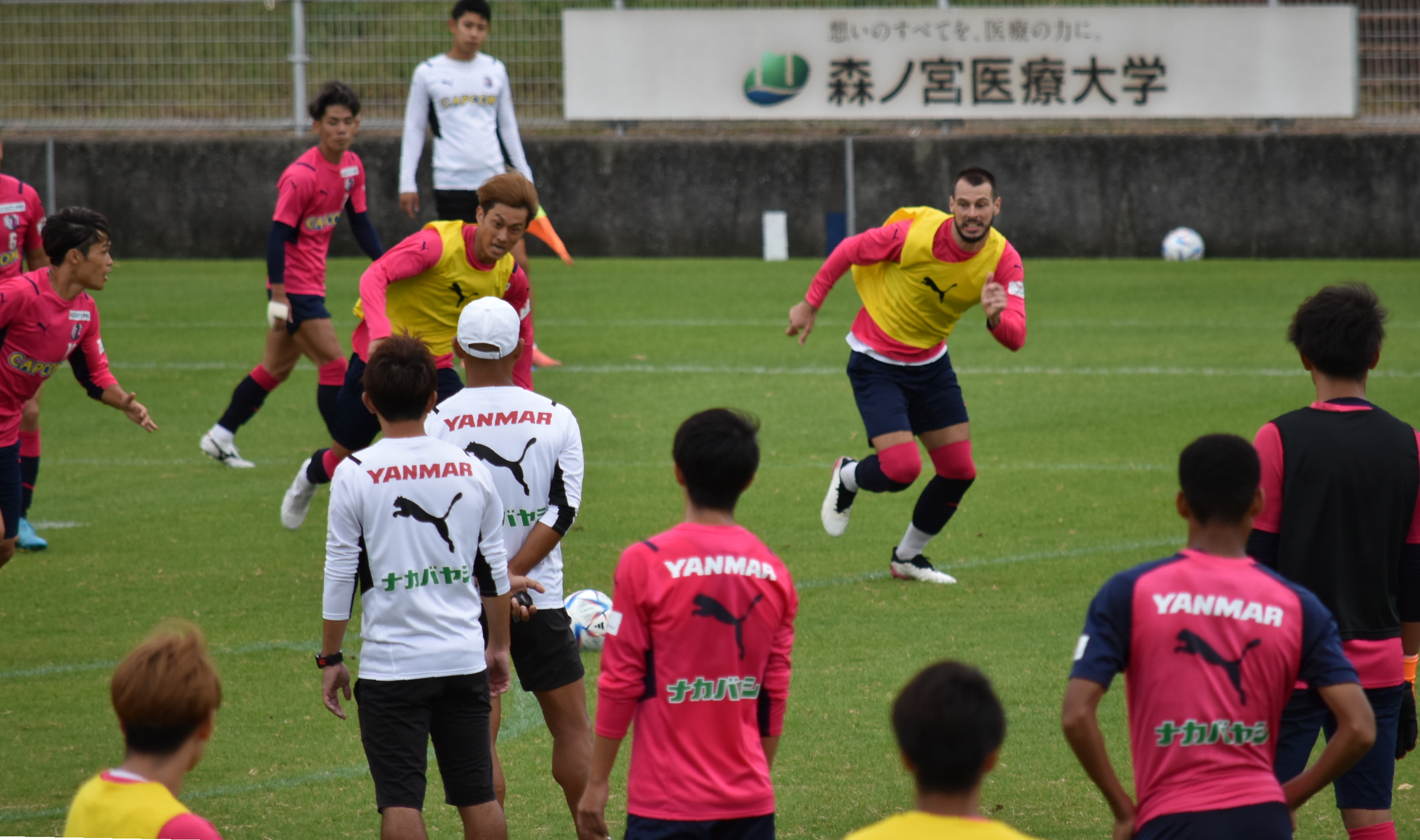 北川信行の蹴球ノート 正当な競争 と 繊細な気配り 高橋コーチが語る セレッソに根付いた小菊監督イズム 産経ニュース