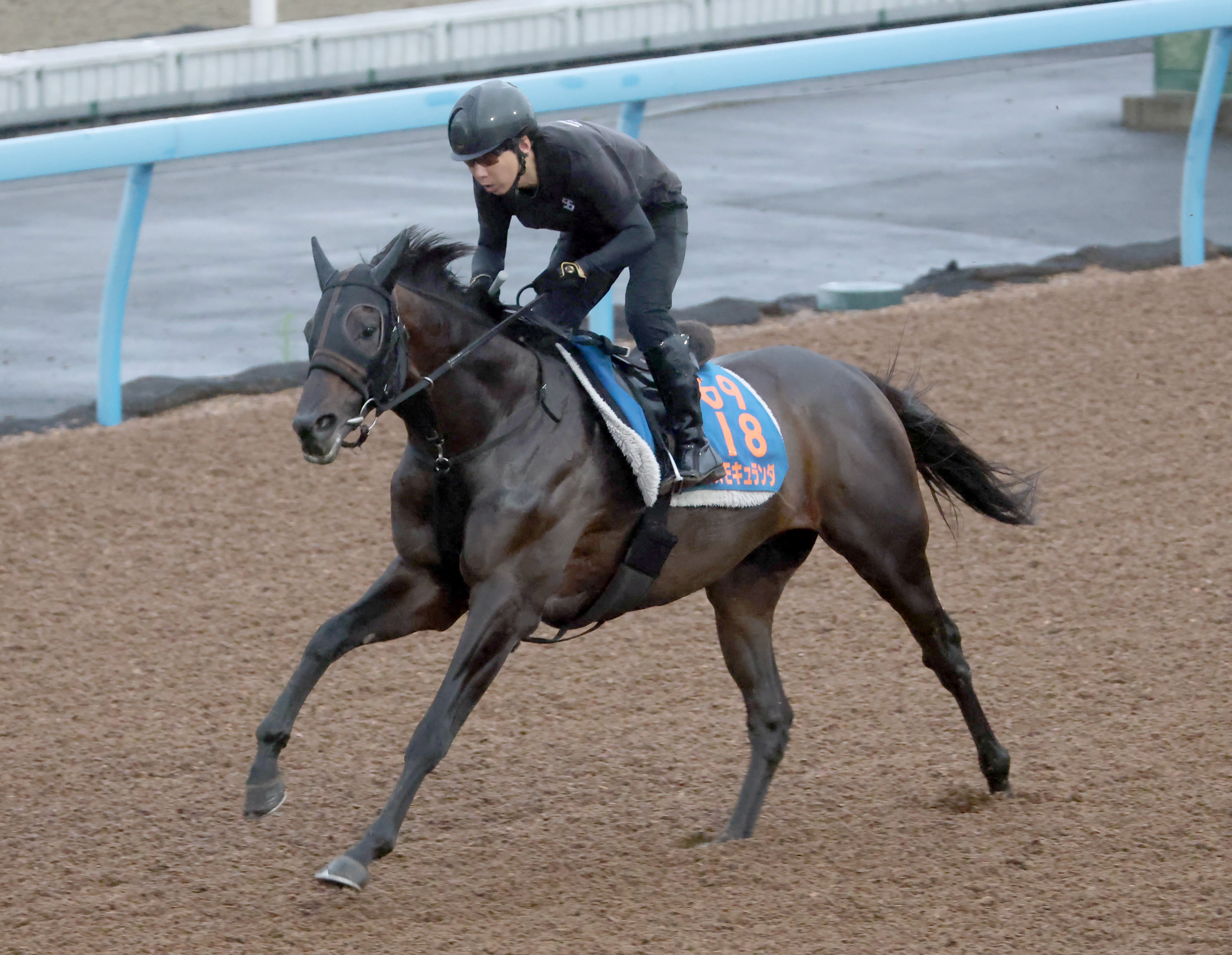 競馬の極み 産経賞オールカマー 1週前追い切り】コスモキュランダが豪快な動きを