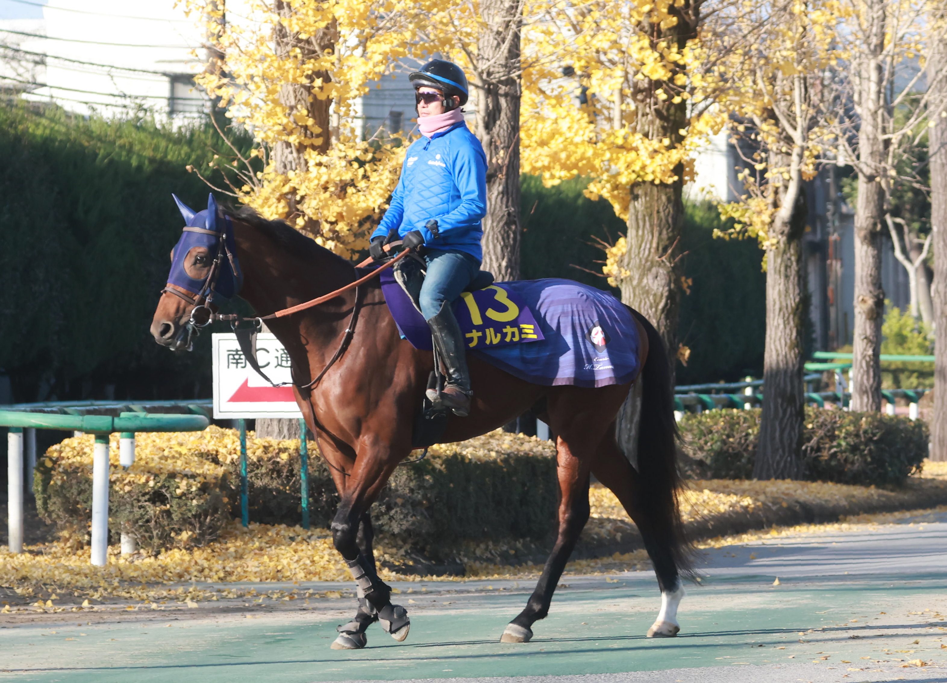 チャンピオンズC 細江純子の直前！GⅠパドック講座】ナルカミめりはり