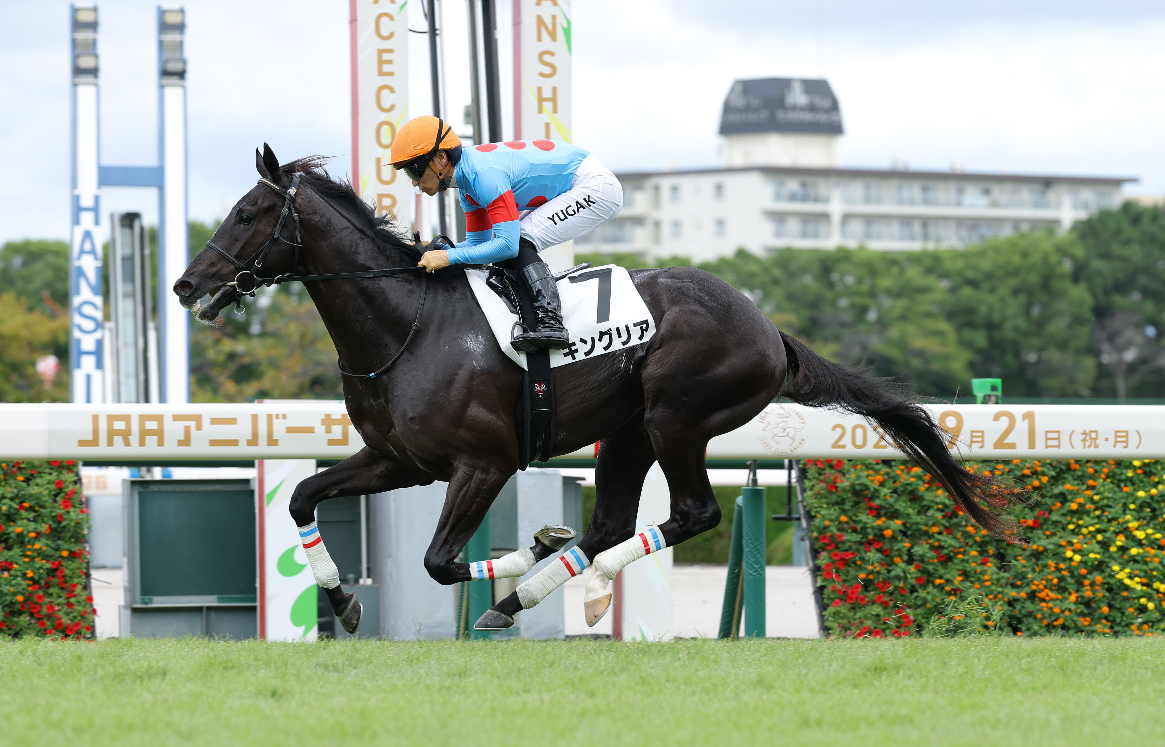 2歳新馬・阪神5R】キングリアが豪快に差し切りデビュー勝ち - サンスポ