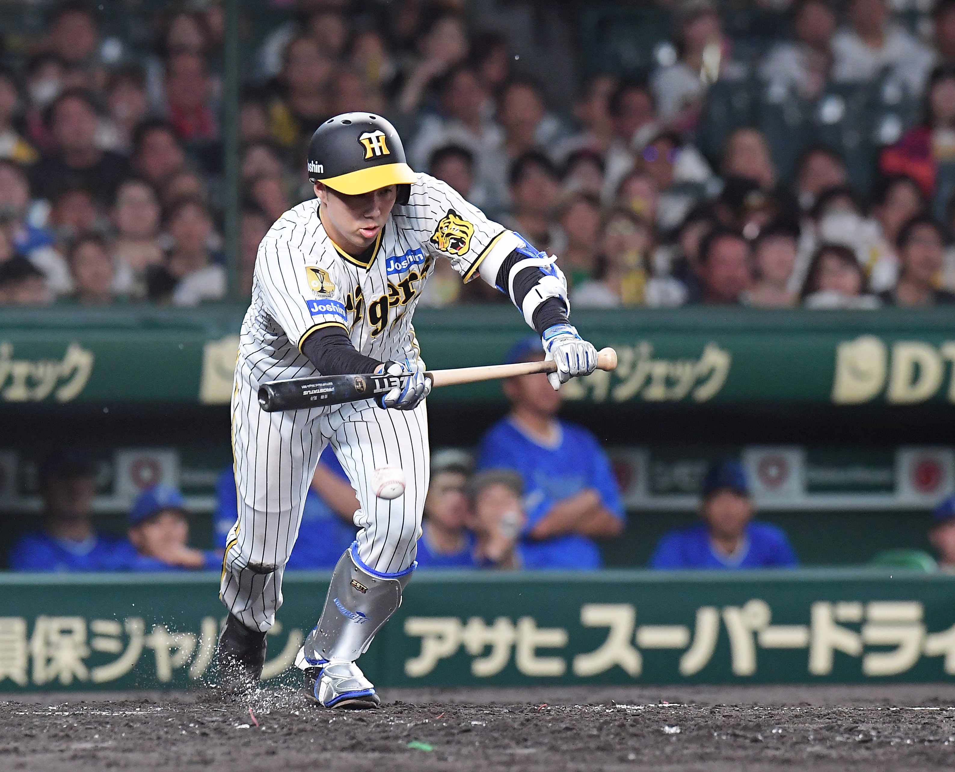 オリックスバファローズ 中村一生 実使用バット オリックスバファローズ 中村一生 実使用バット オリックス