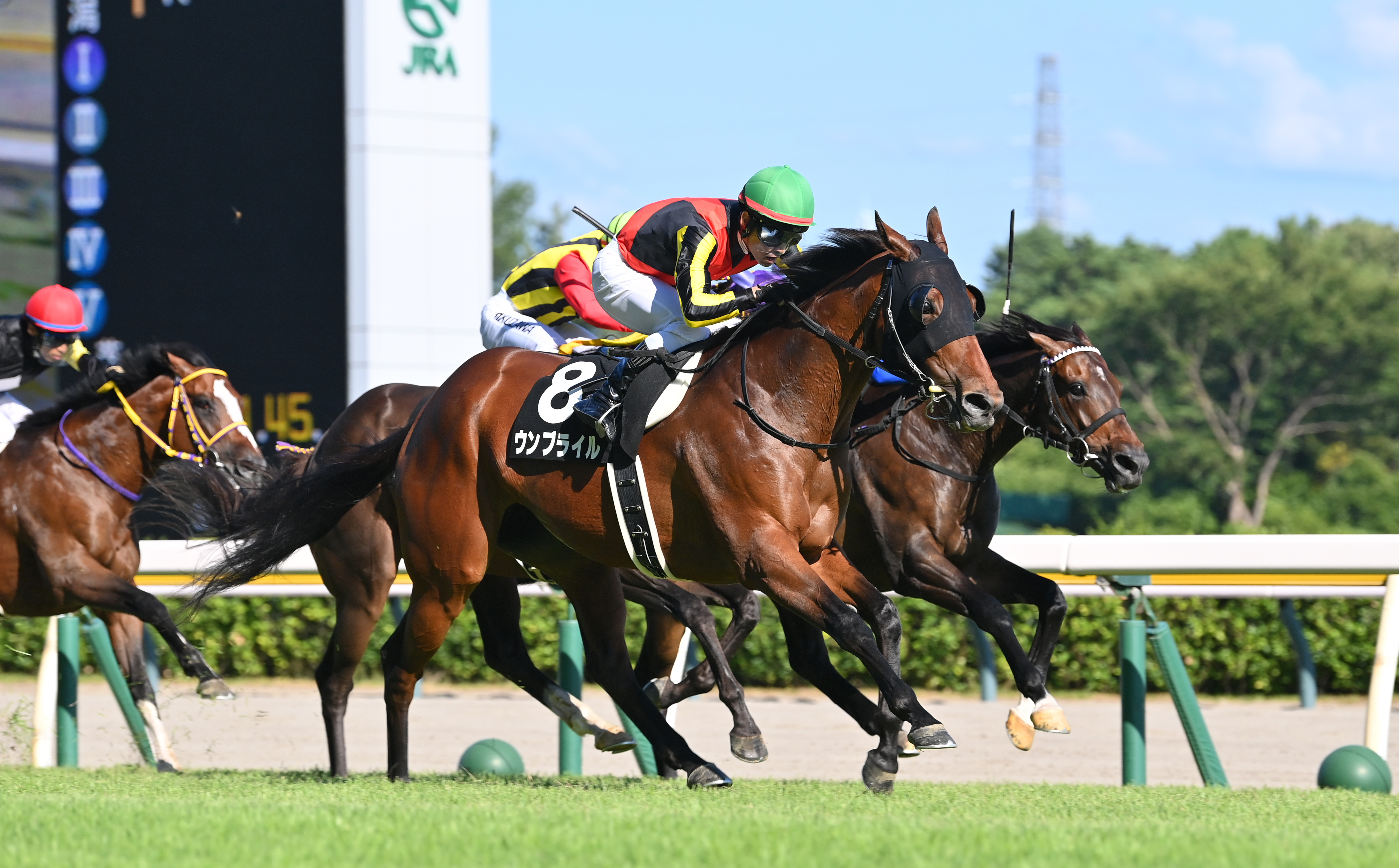 競馬ゼッケン　キモンレッド号 Amazon.co.jp: MIYOA 乗馬ゼッケン 障害ゼッケン 乗馬 障害 総合