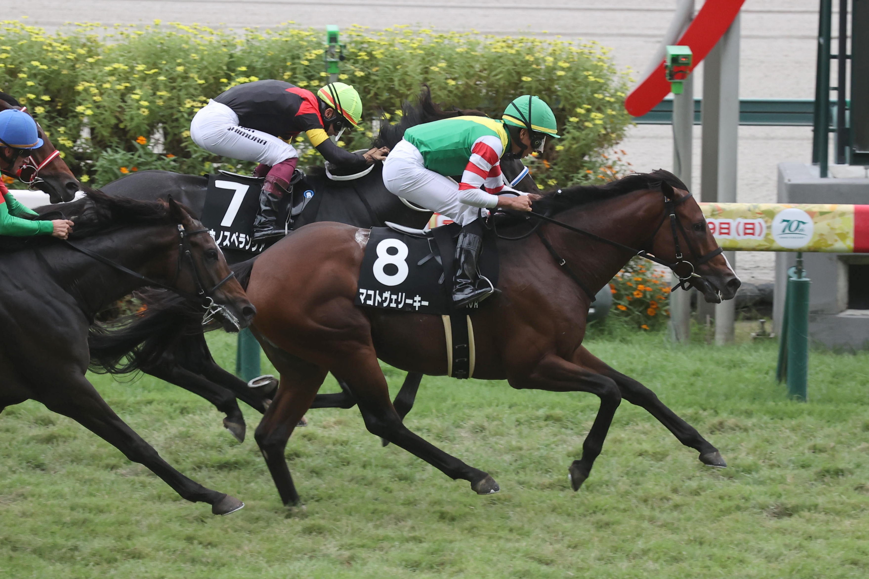 JRA函館競馬　オリジナルフライトタグ　重賞コンプリートセット　函館記念 函館競馬 オリジナルフライトタグ 重賞コンプリートセット
