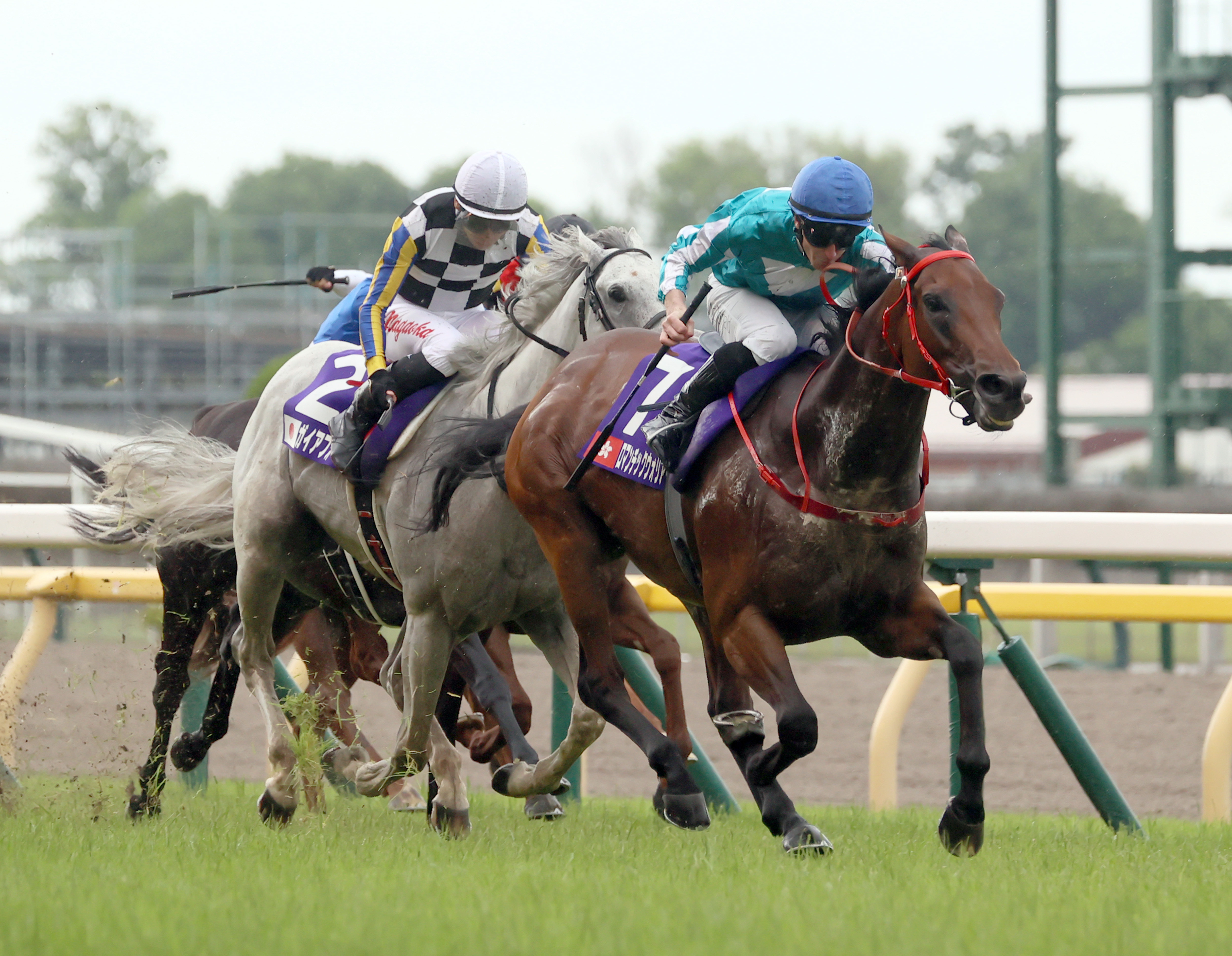 【安田記念】香港最強馬ロマンチックウォリアーが日本馬一蹴！１８年ぶりの外国馬制覇 - サンスポZBAT!