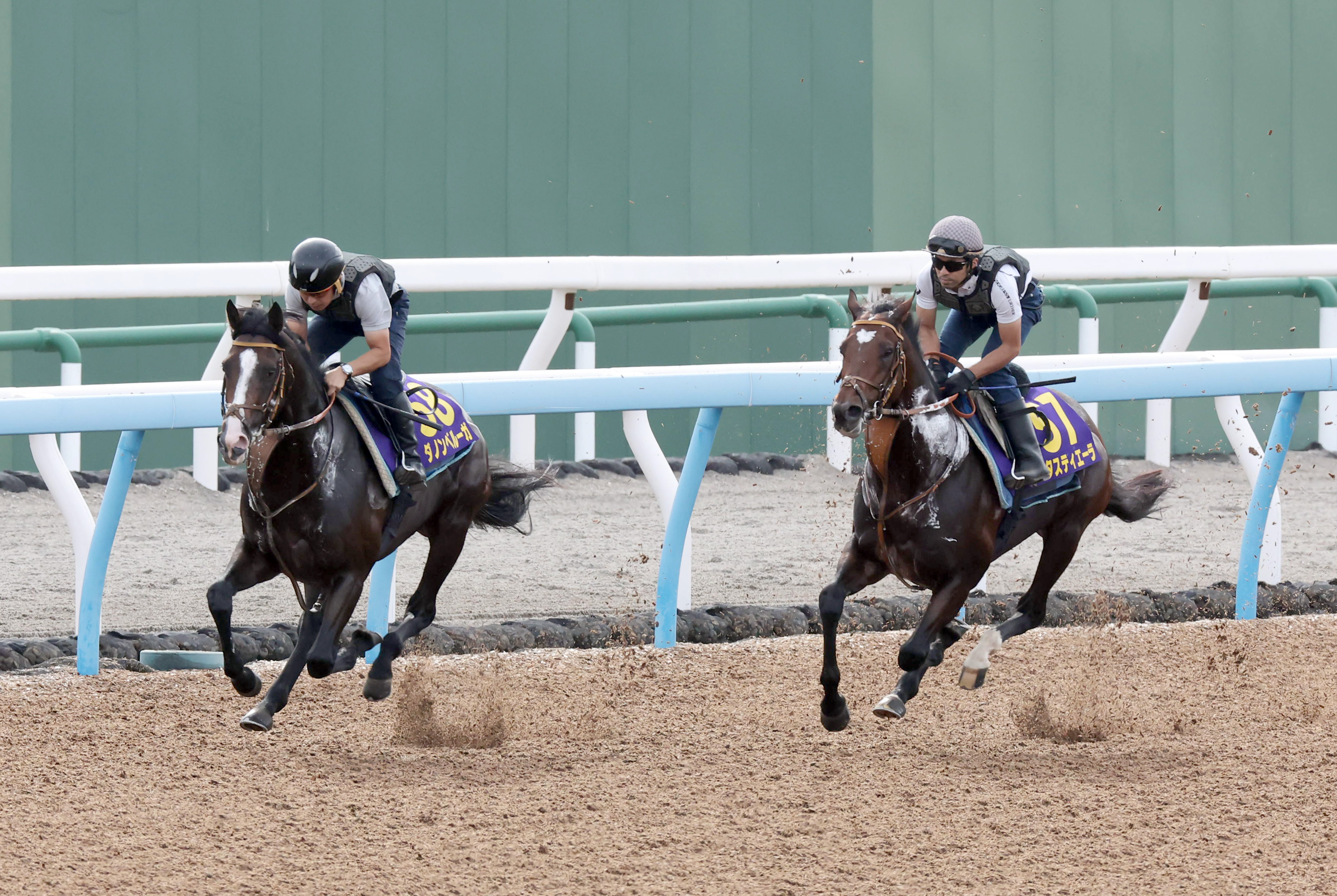 デンティス　A賞 2025年ADC賞にて卒業生6名と本学教員が受賞 | 多摩美術大学