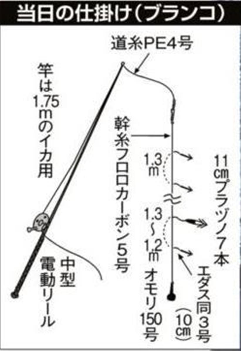 ヤリイカ前線北上中 南房 白浜沖で本格シーズンへ 1 2ページ サンスポ