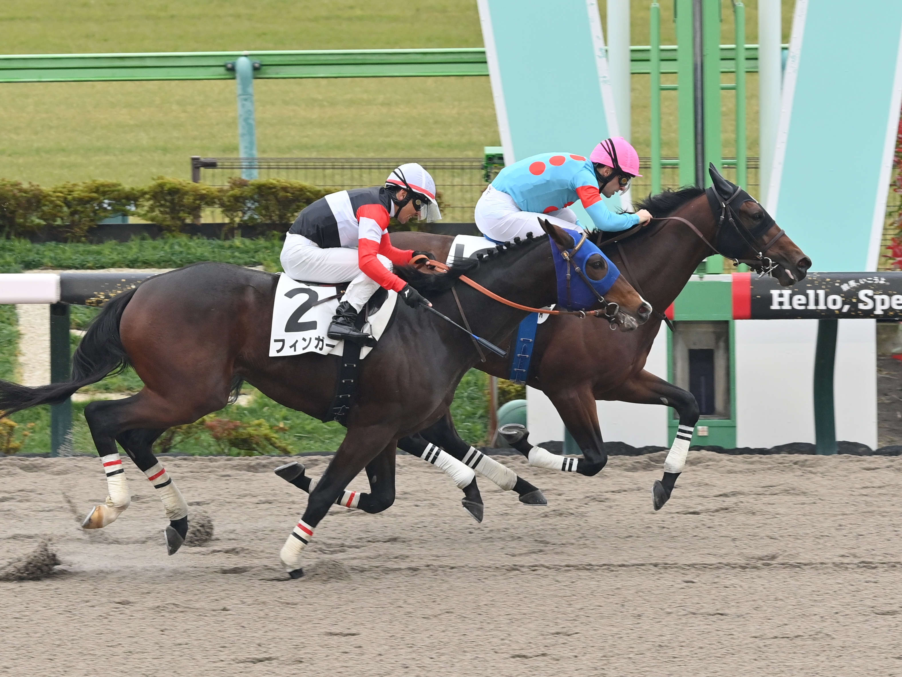 東京ダービー】〝競馬還暦〟自ら祝うぞ！ 西の大砲・水谷はサン