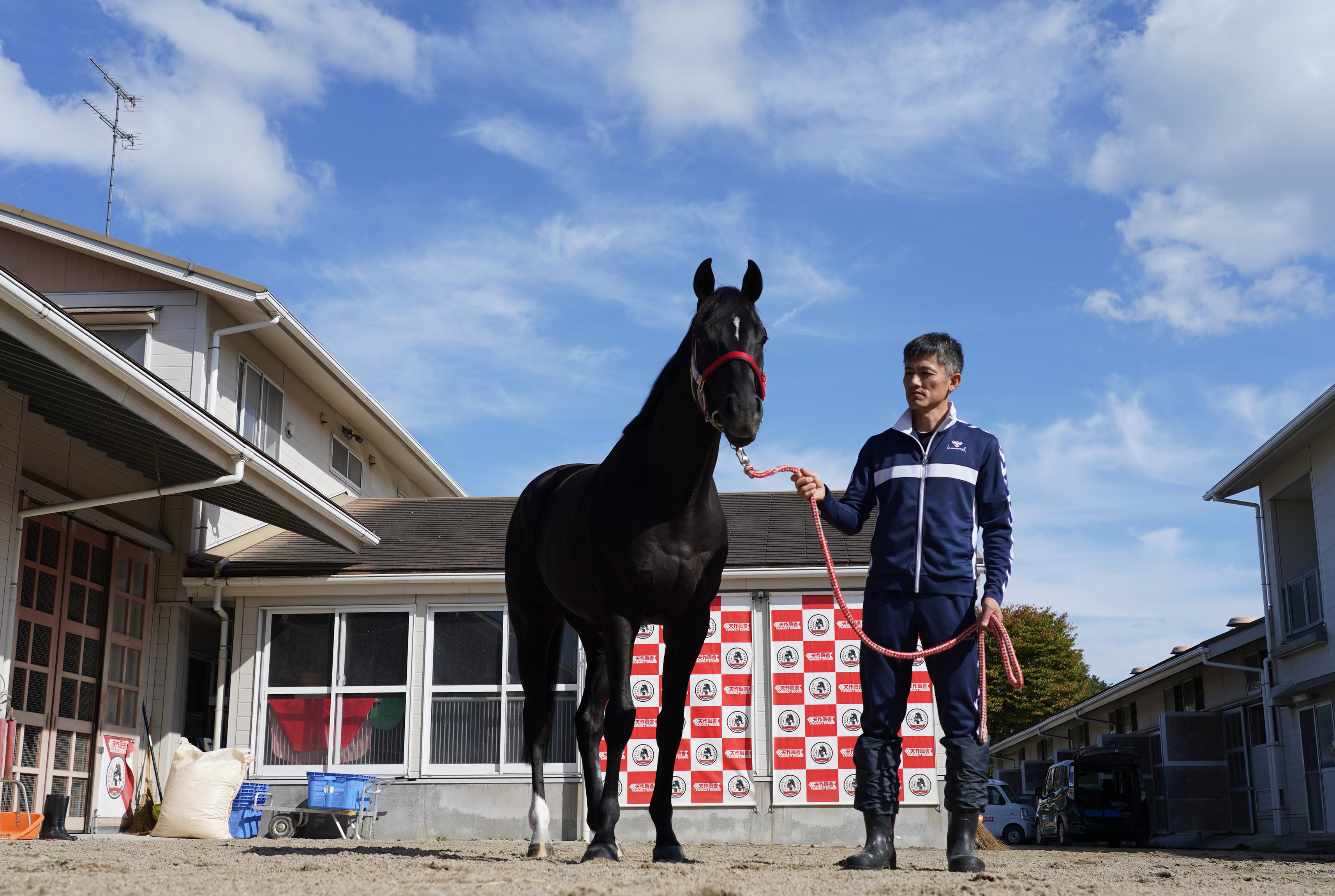 【菊花賞】リビアングラスは注目のステップレース・阿賀野川特別 ...