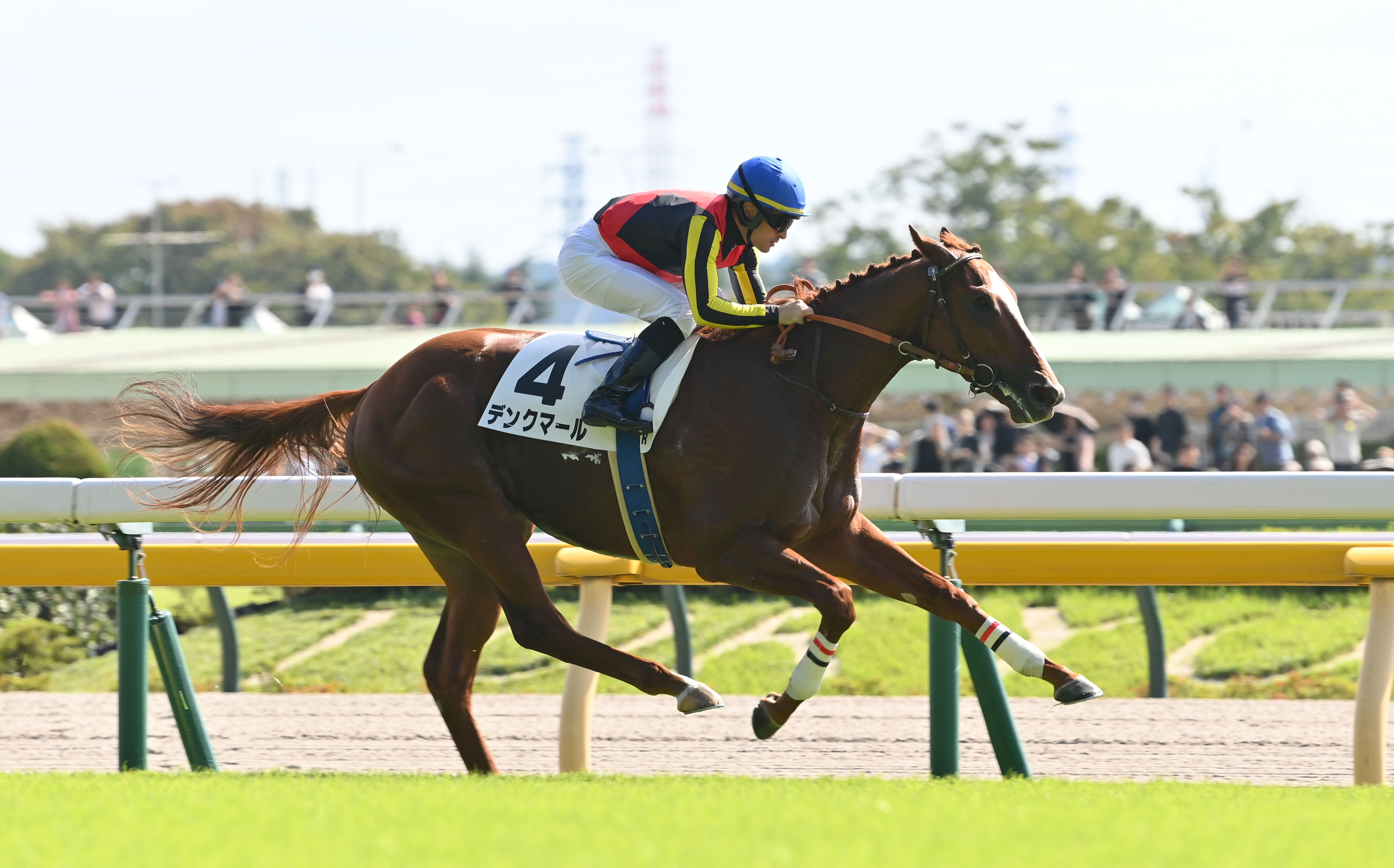 2歳新馬・東京5R】デンクマールが断然人気に応えて3馬身半差の