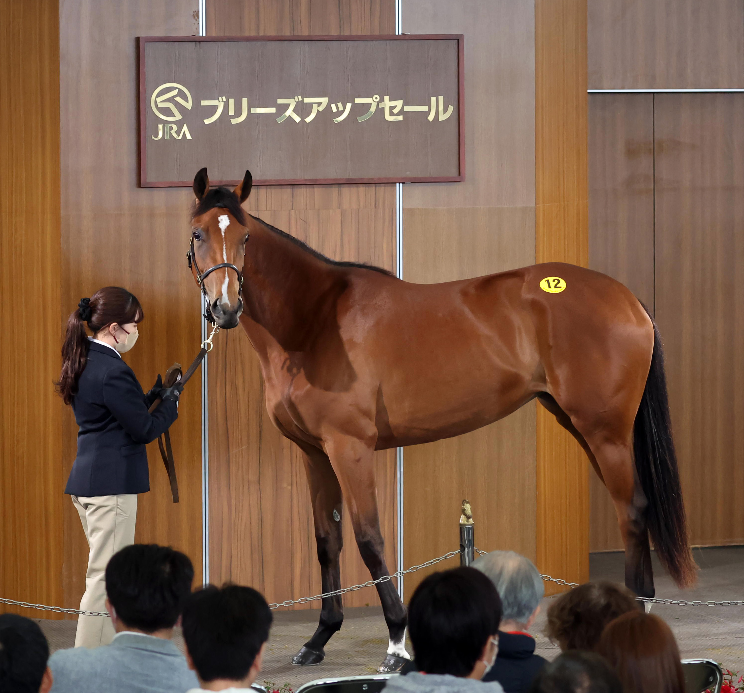 乗馬　即購入大歓迎！今日限定！ JRAブリーズアップセールが終了 最高価格は2700万円で2