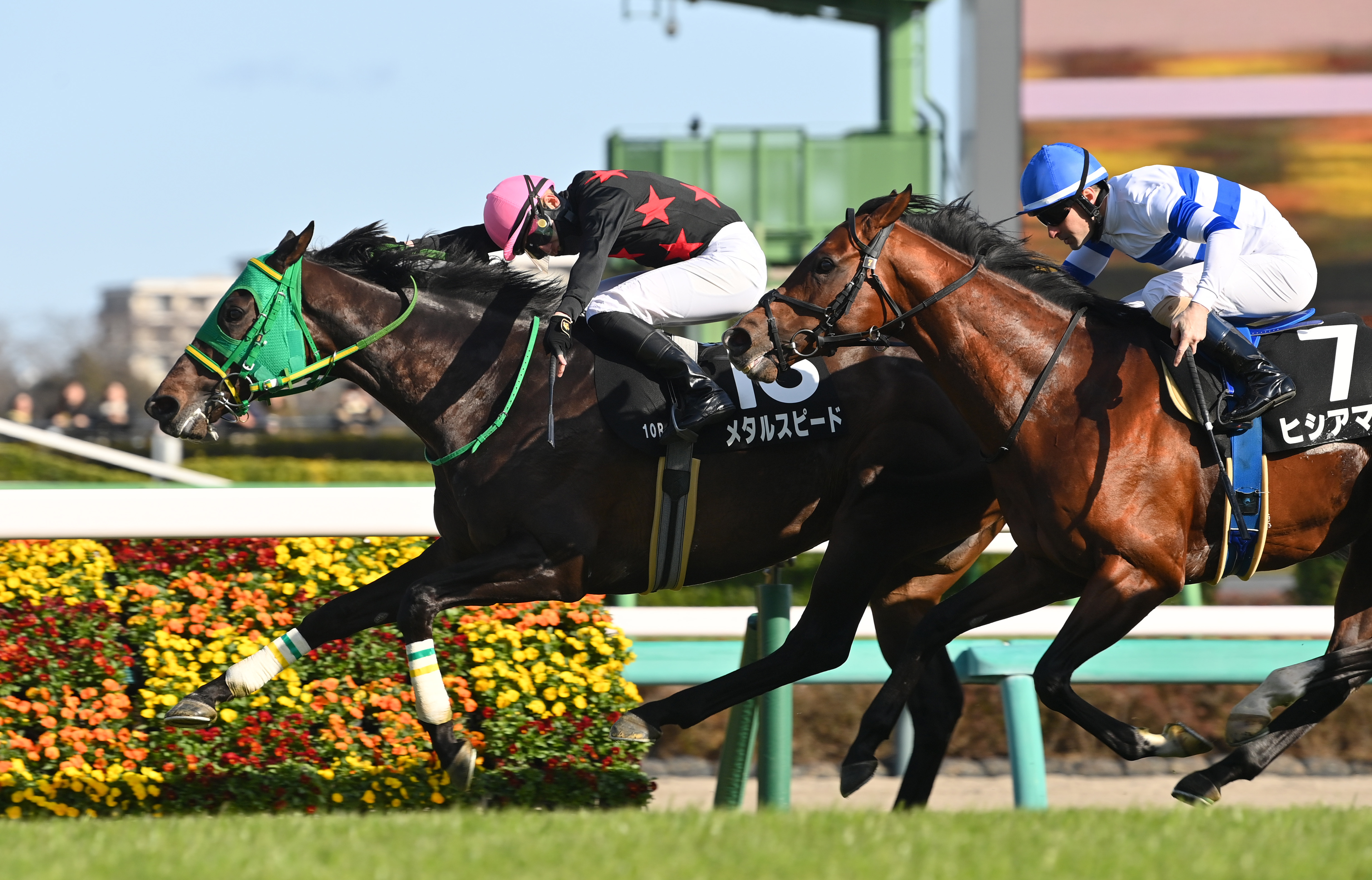 ダービー卿CT】メタルスピード色気十分 相田助手「前走と同じくらい