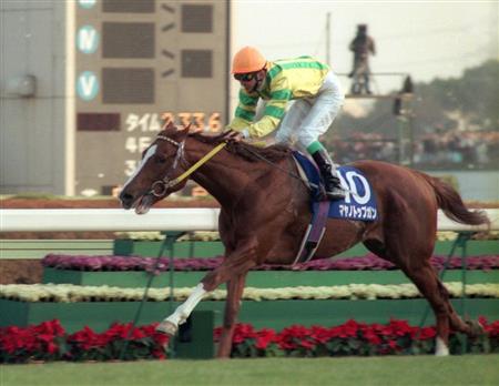 マヤノトップガン死ぬ 95年有馬記念などGI4勝 - サンスポ