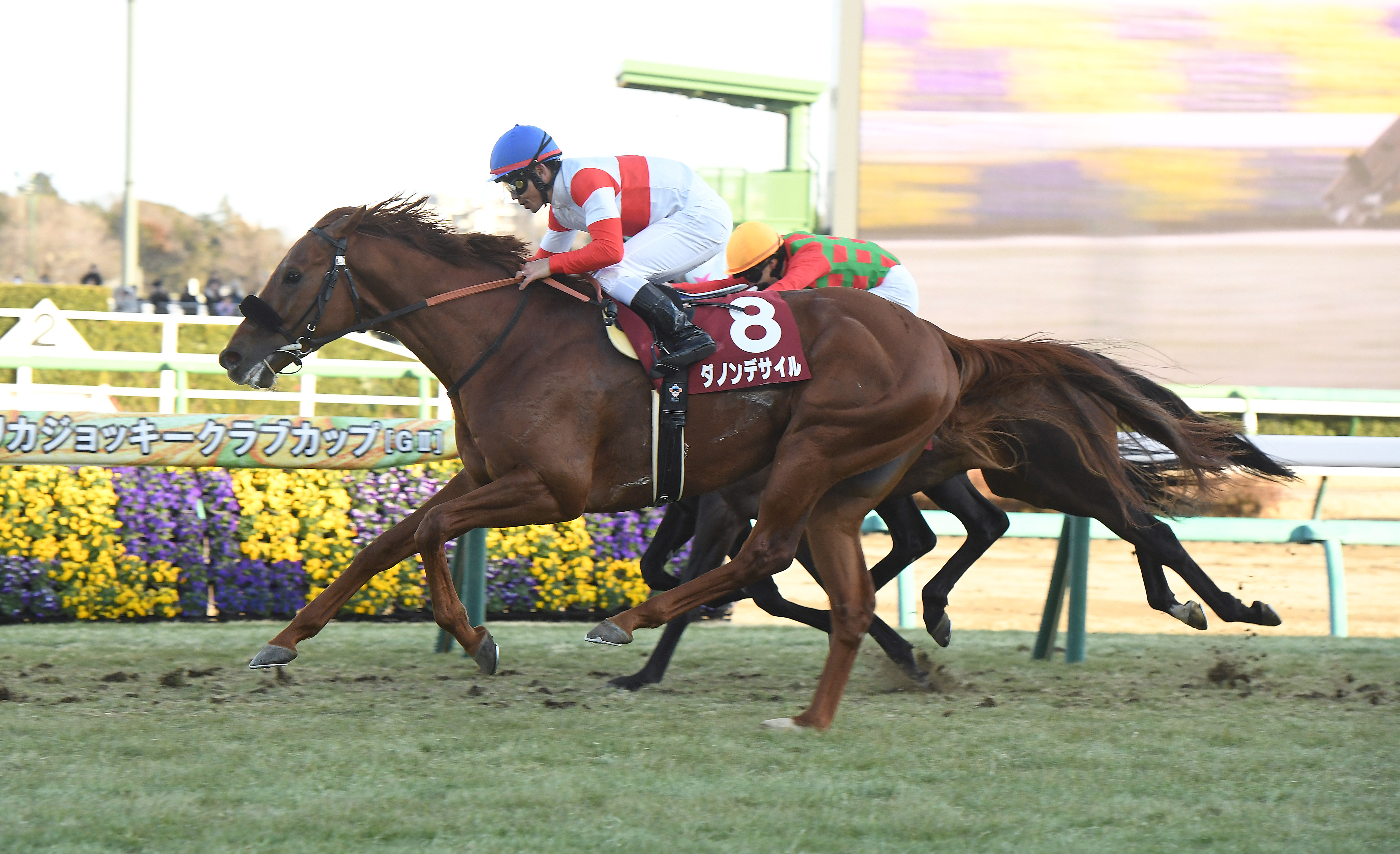 ダノンデサイル　競馬　JRA　ポスター　非売品　ノベルティ 2025年最新】ダノンデサイル ポスターの人気アイテム - メルカリ