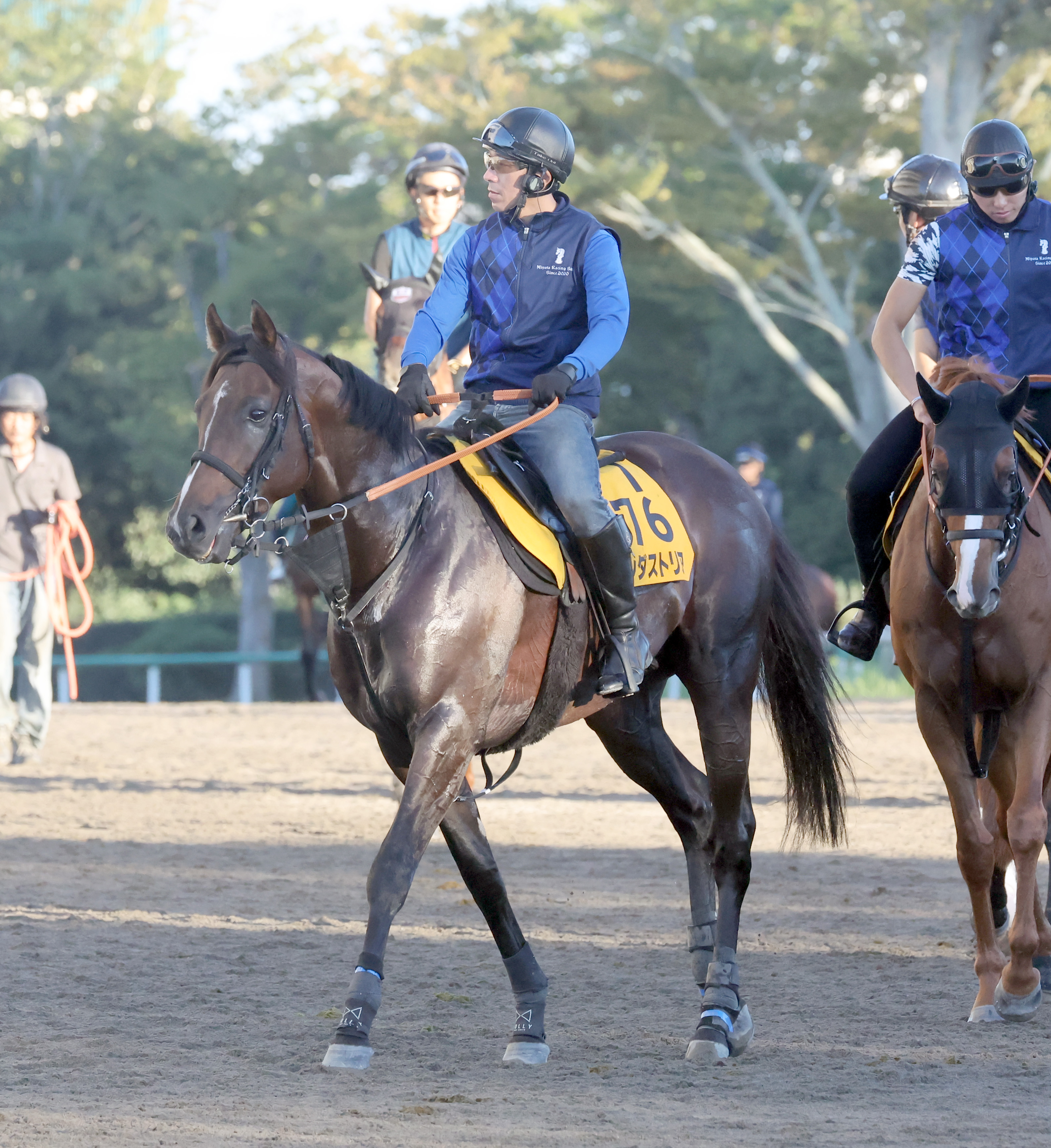 【京成杯ＡＨ】エプソムＣ７着のインダストリアが３戦３勝の得意 ...