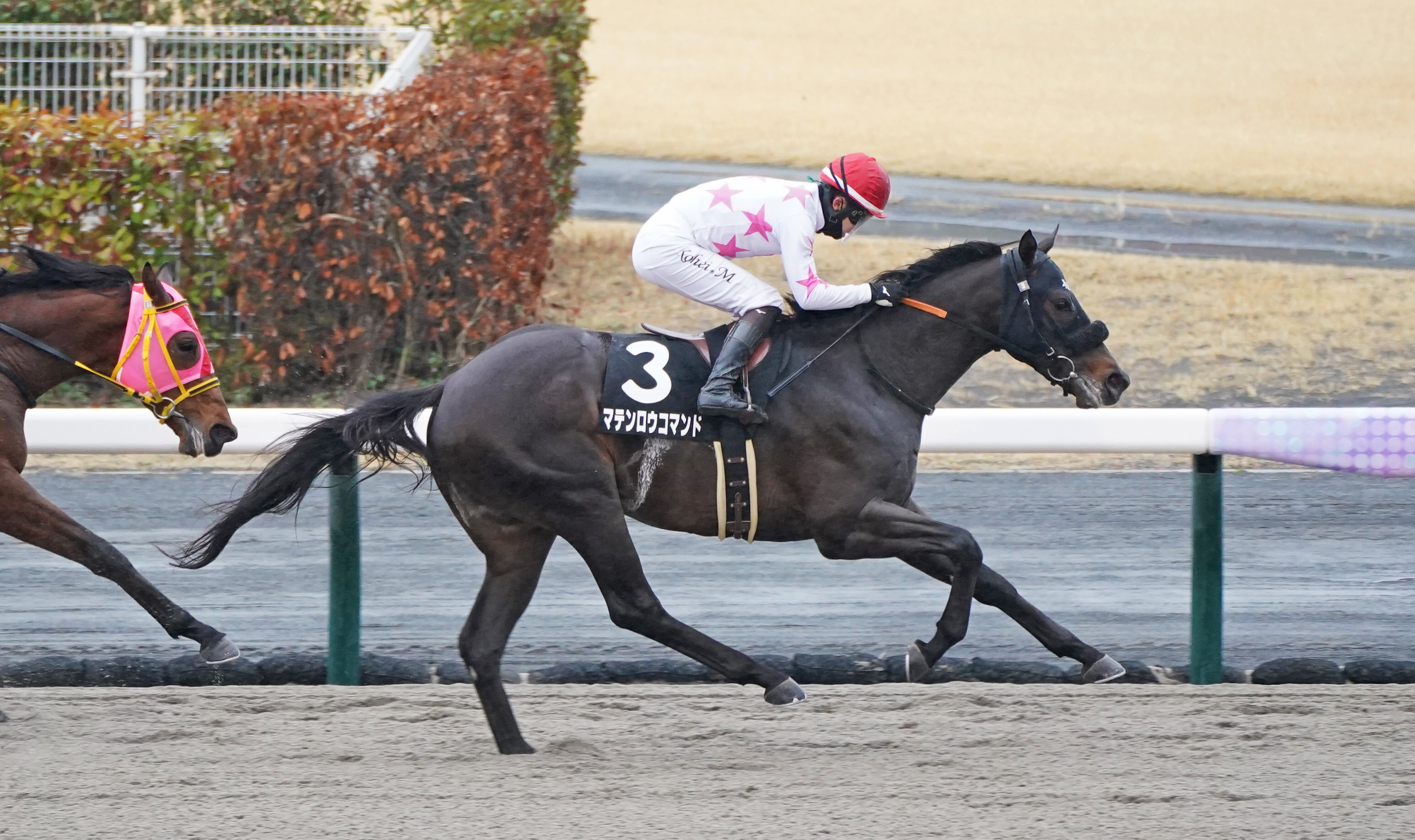 昇竜S】松山弘平騎手「最後は余裕があった」 マテンロウコマンド3連勝