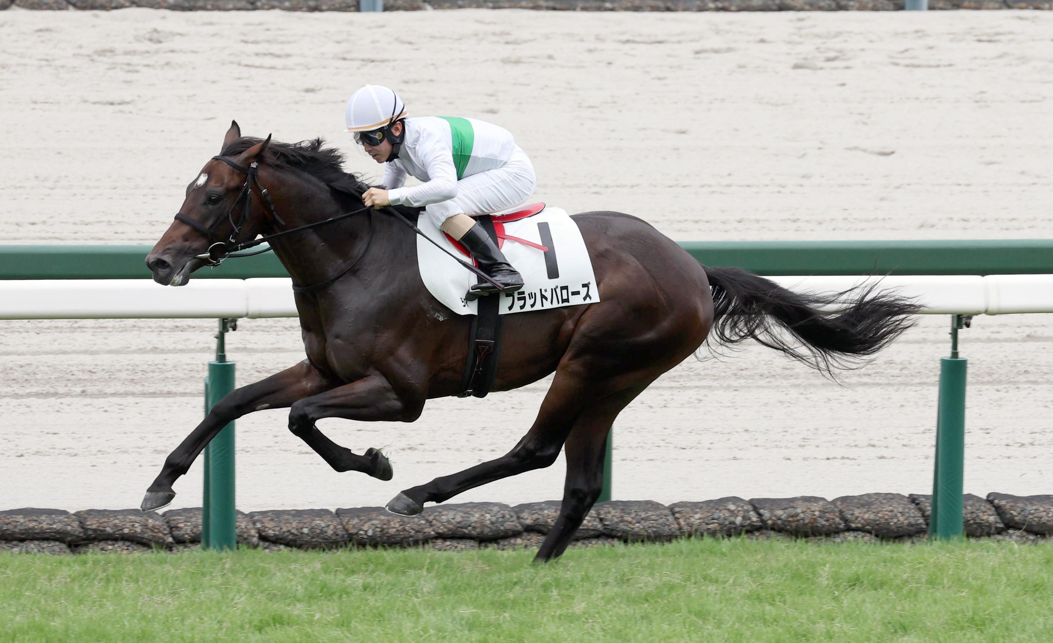 2歳新馬・阪神5R】ナリタブライアンの近親ブラッドバローズが逃げ切る