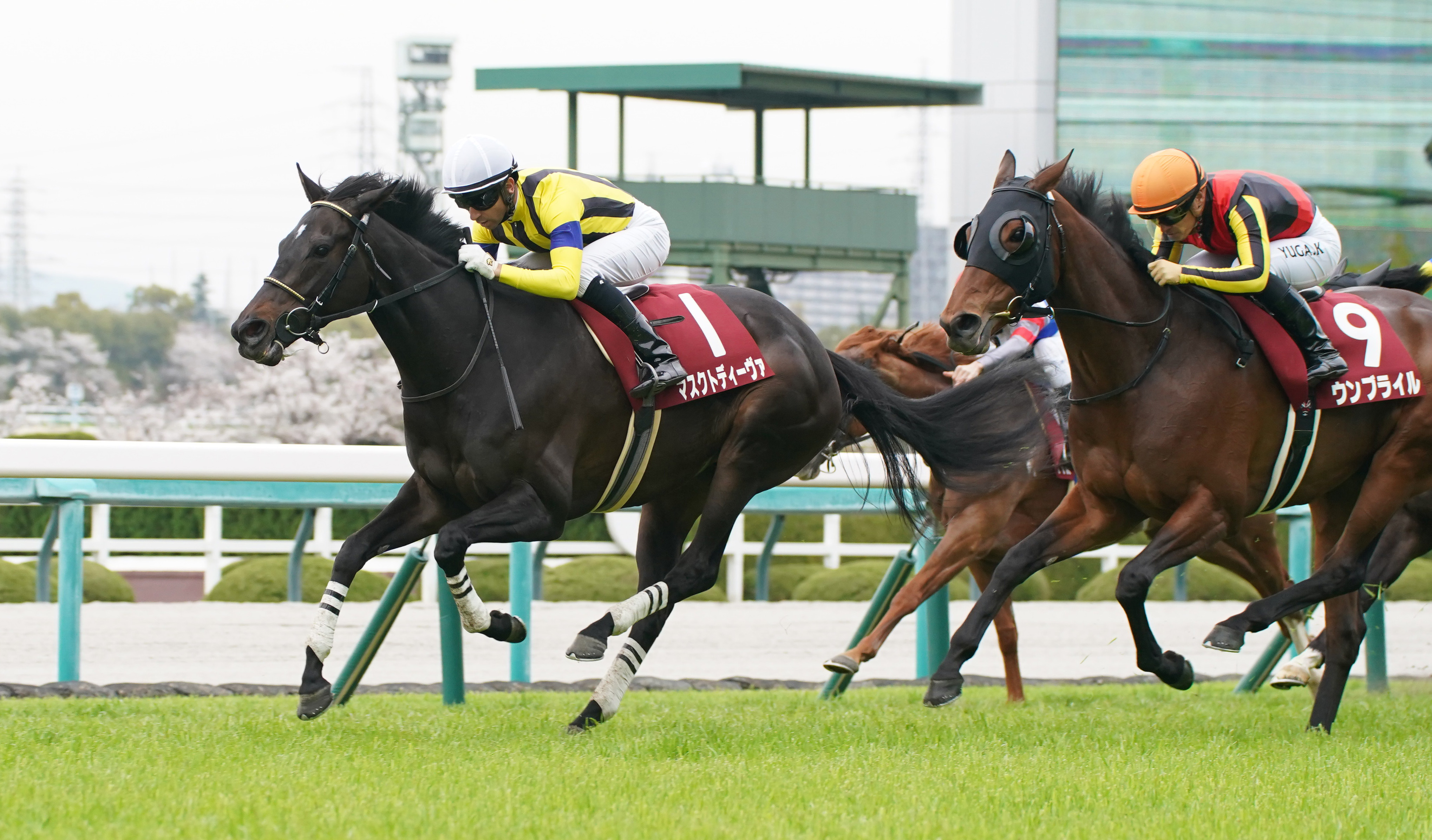マスクトディーヴァが電撃引退、繁殖入り 左前肢屈腱炎を発症