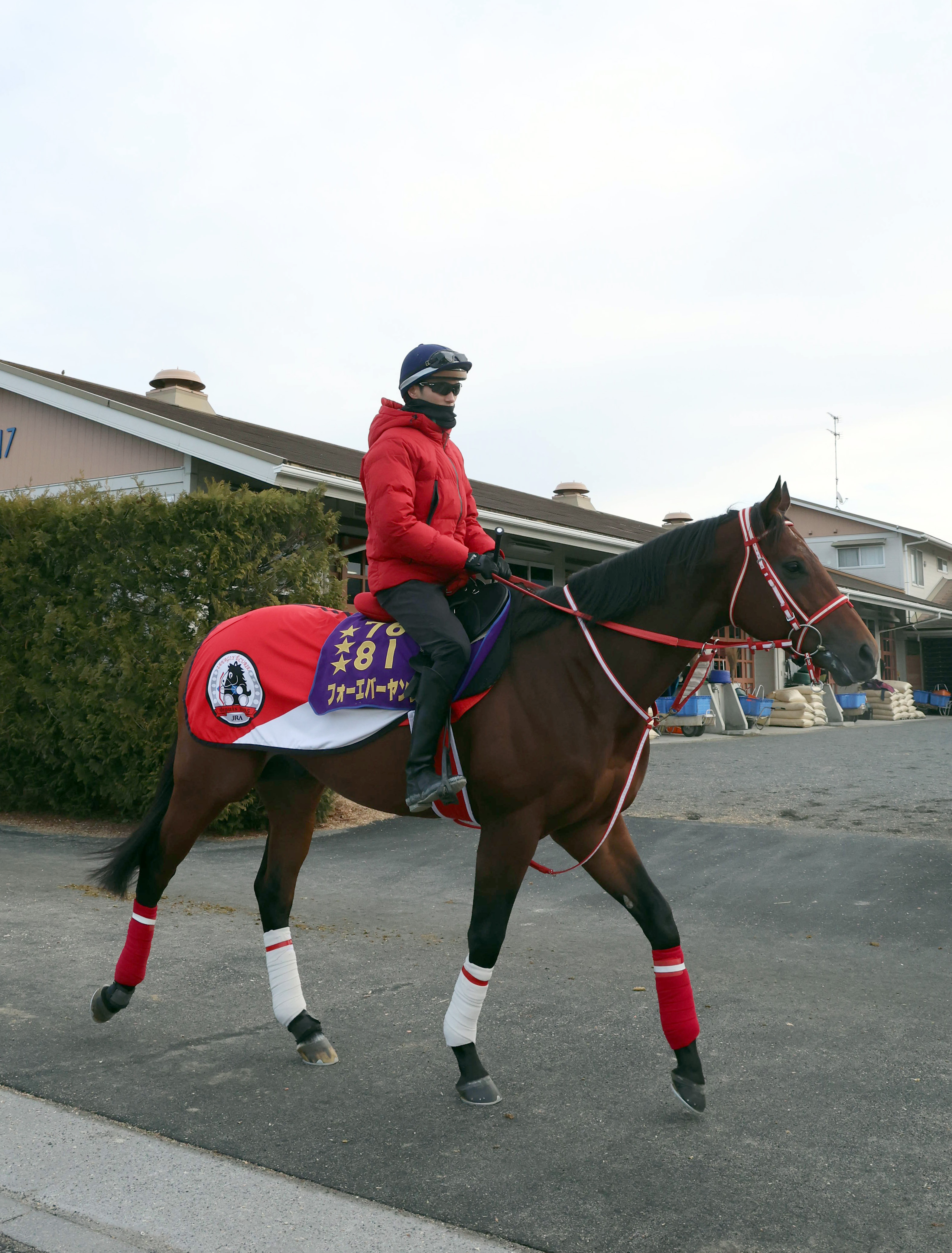 遥かなる世界の競馬地図】エクリプス賞受賞馬を大予想！ フォーエバー