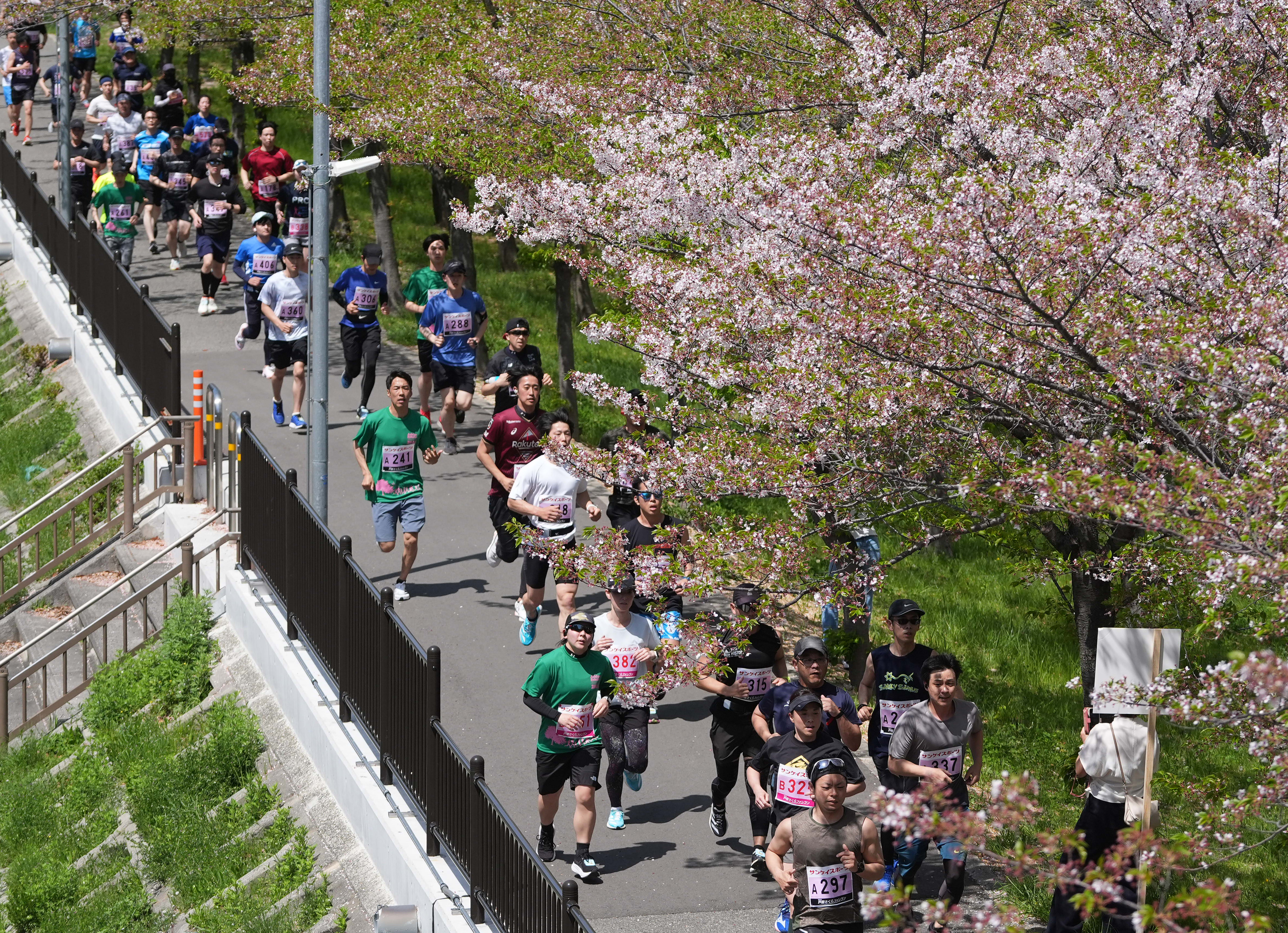 春の市民マラソン、どれ走る？ エントリーサイト「じょいすぽ