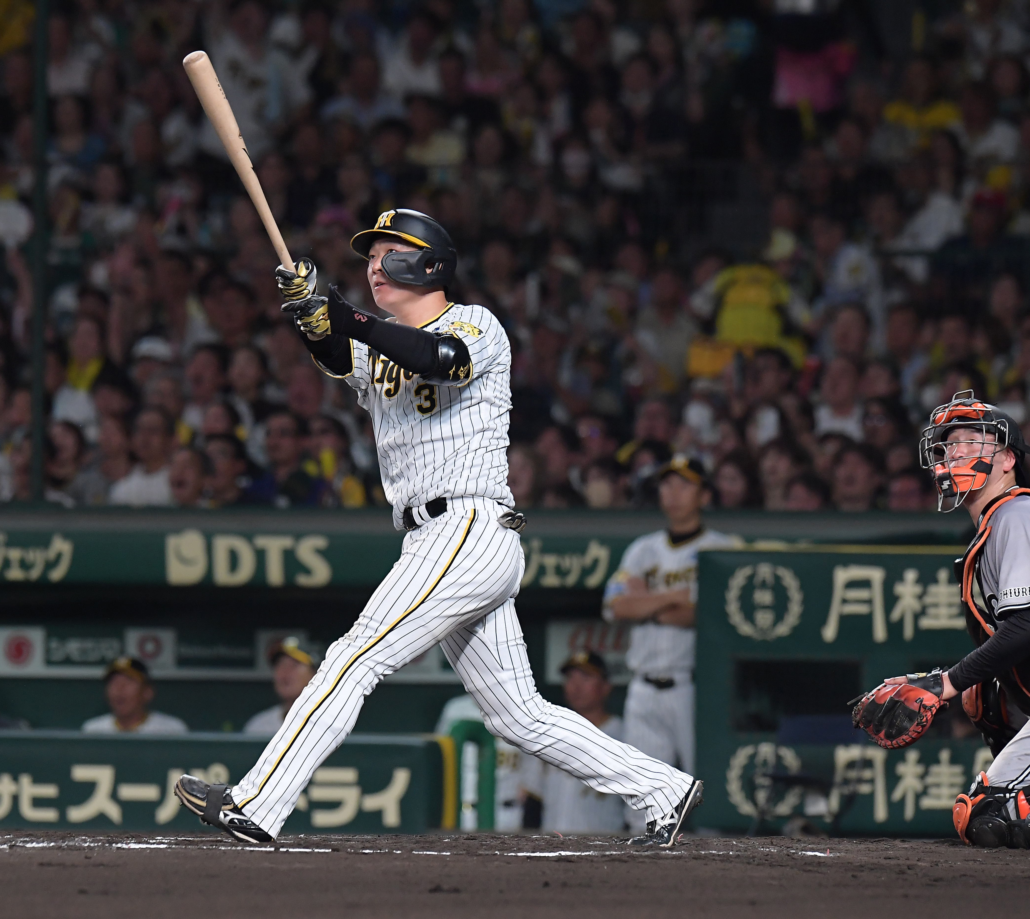 阪神タイガース＞大山悠輔 甲子園球場100周年記念ボール