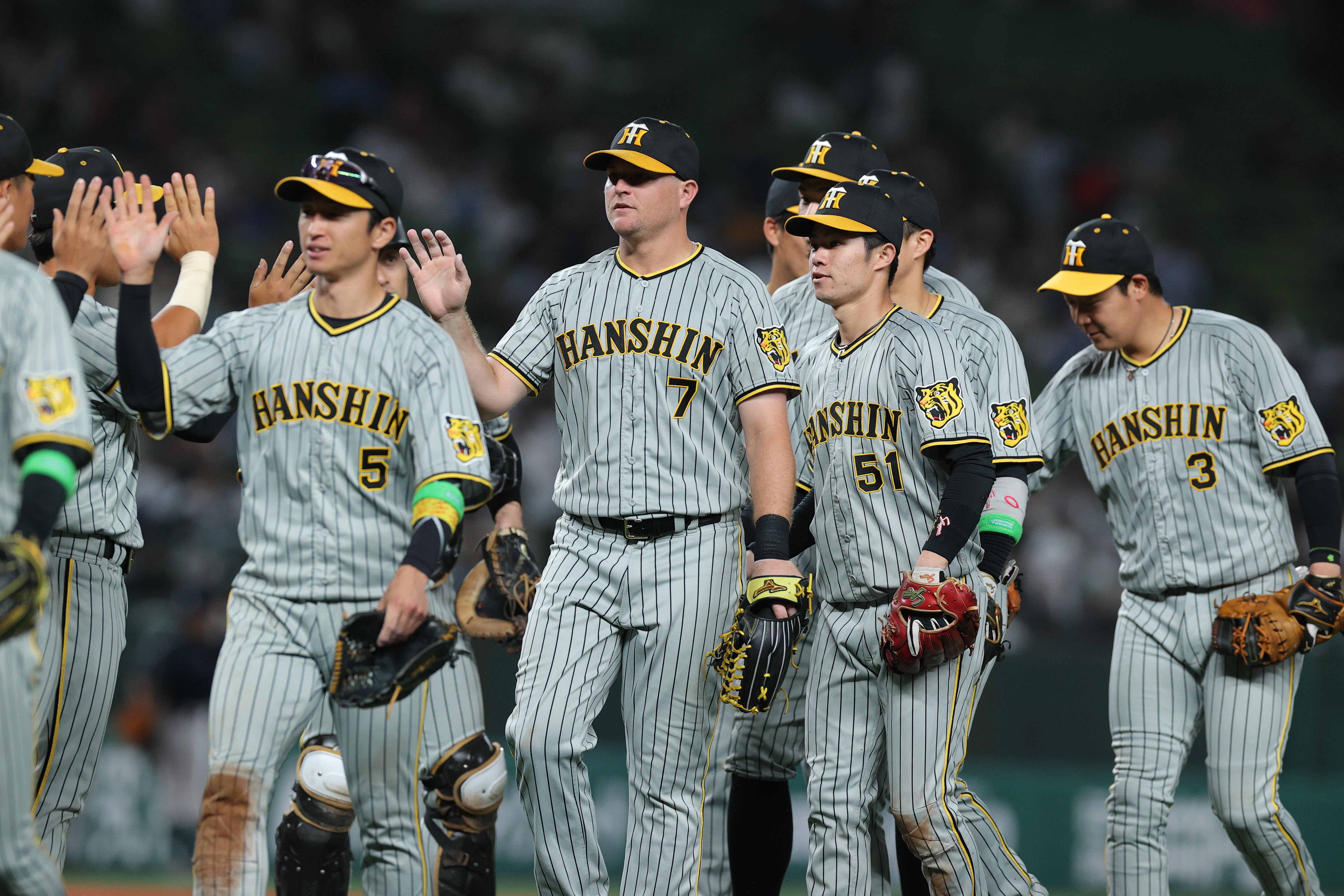 プロ野球セ・パ交流戦が開幕 阪神は西武に勝利（写真・画像 1/1