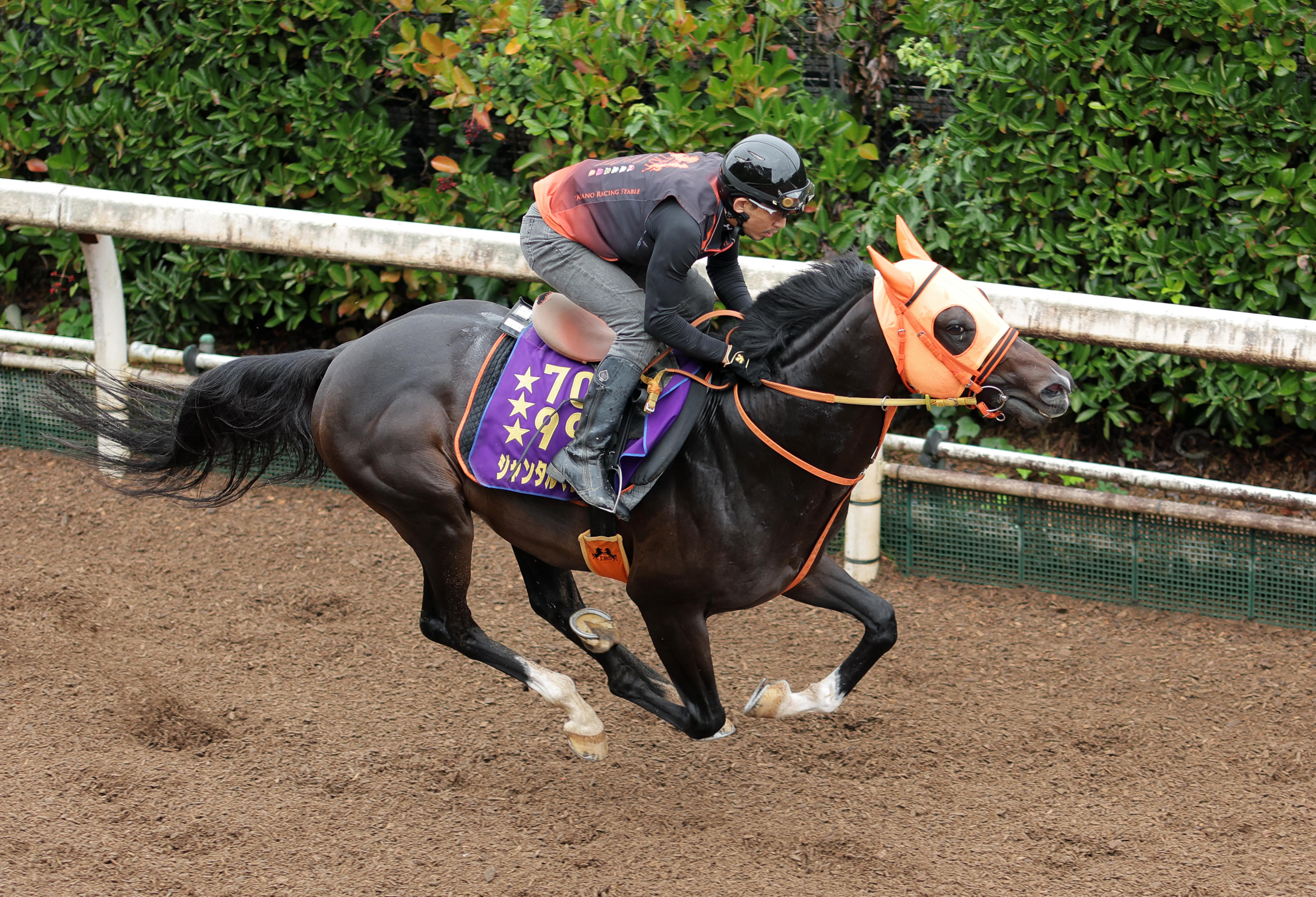 中川清　作　【駿馬】ブロンズ　共箱付き　馬好きのかたにおすすめ Amazon.co.jp: 西洋彫刻 走っている馬の像 ギャロッピング