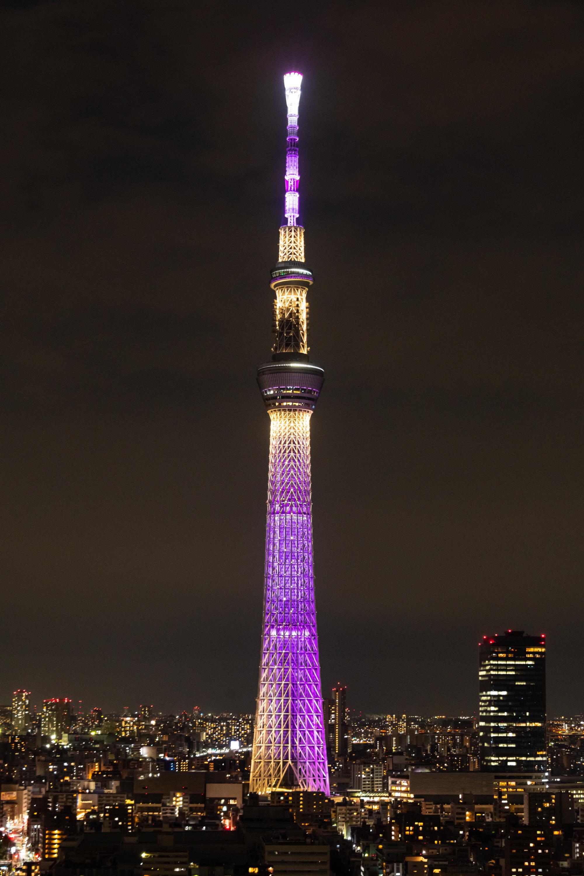入手困難！超希少！　東京スカイツリー 開業記念 手ぬぐい 東京スカイツリーでの星空探検 - Trip To Japan - Trip To Japan