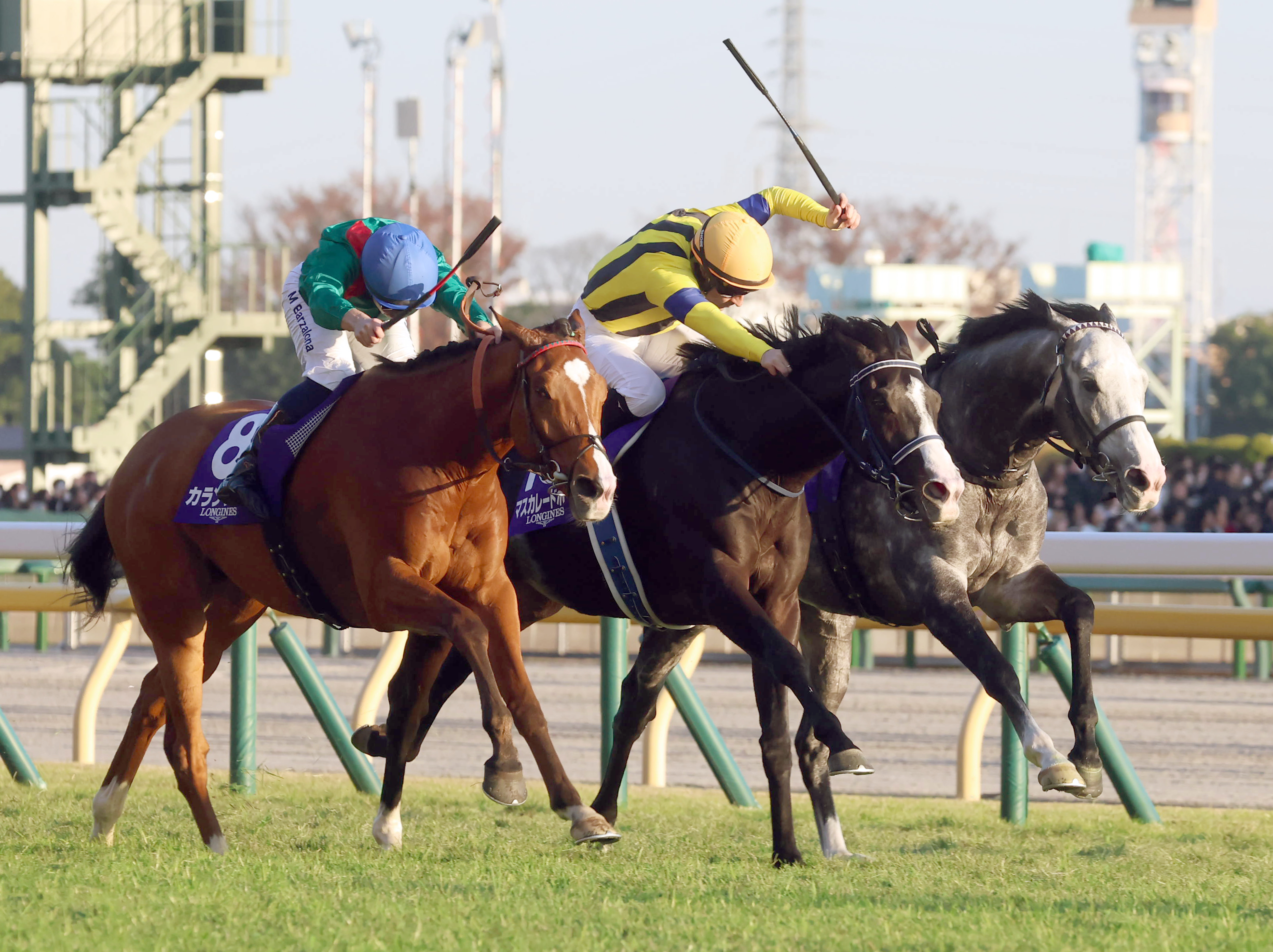 カランダガン 【競馬フィギュア】 JRA賞】カランダガンが外国調教馬初