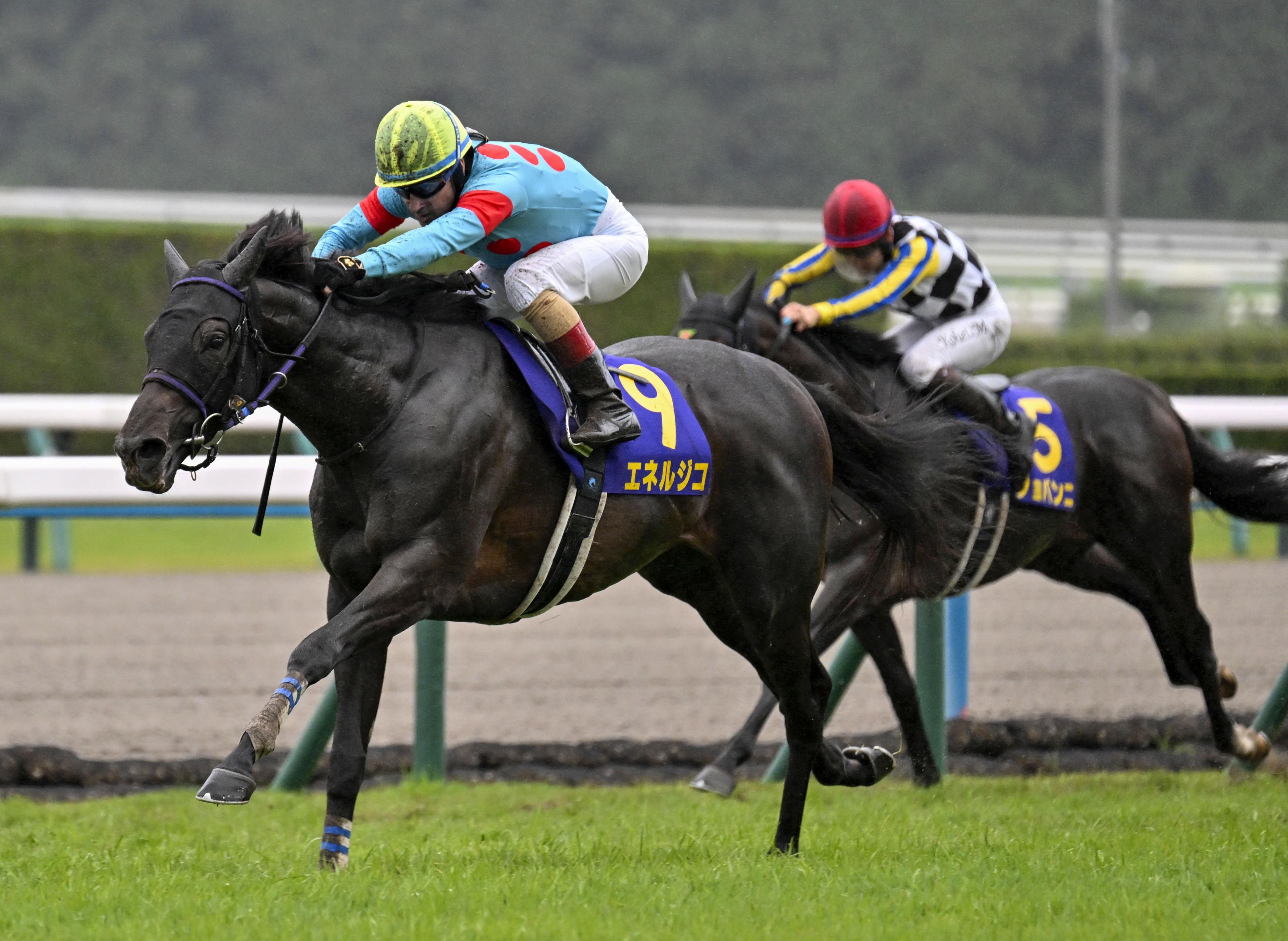 競馬のGⅠ菊花賞、エネルジコが優勝 - 産経ニュース