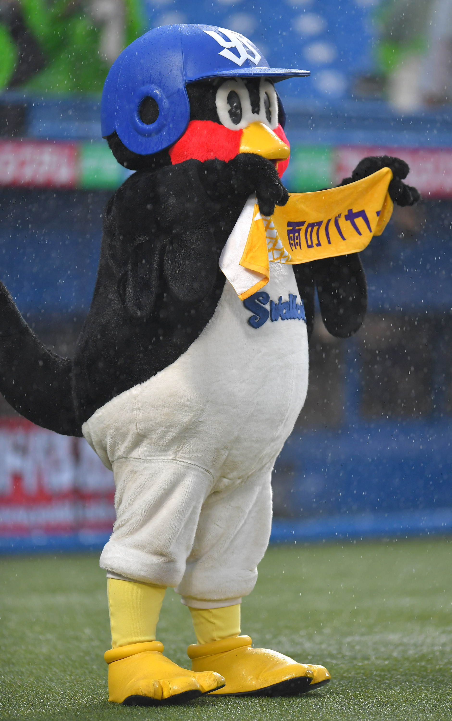 つば九郎「雨のバカ―」 主催通算2000試合出場はお預け - サンスポ