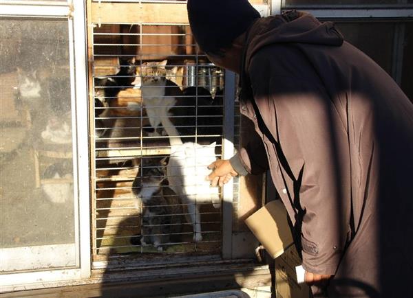 埼玉県の置き去り猫問題】約120匹を飼っていたという「猫屋敷」の